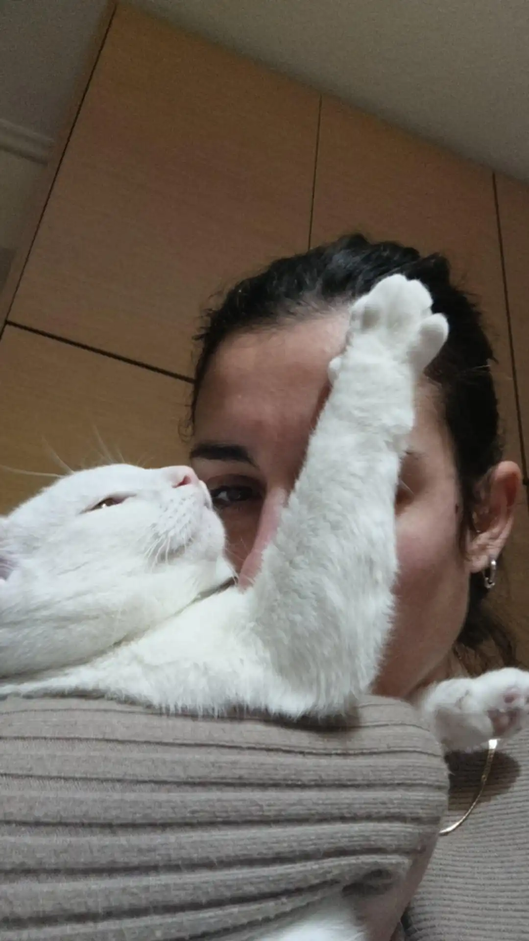image-7