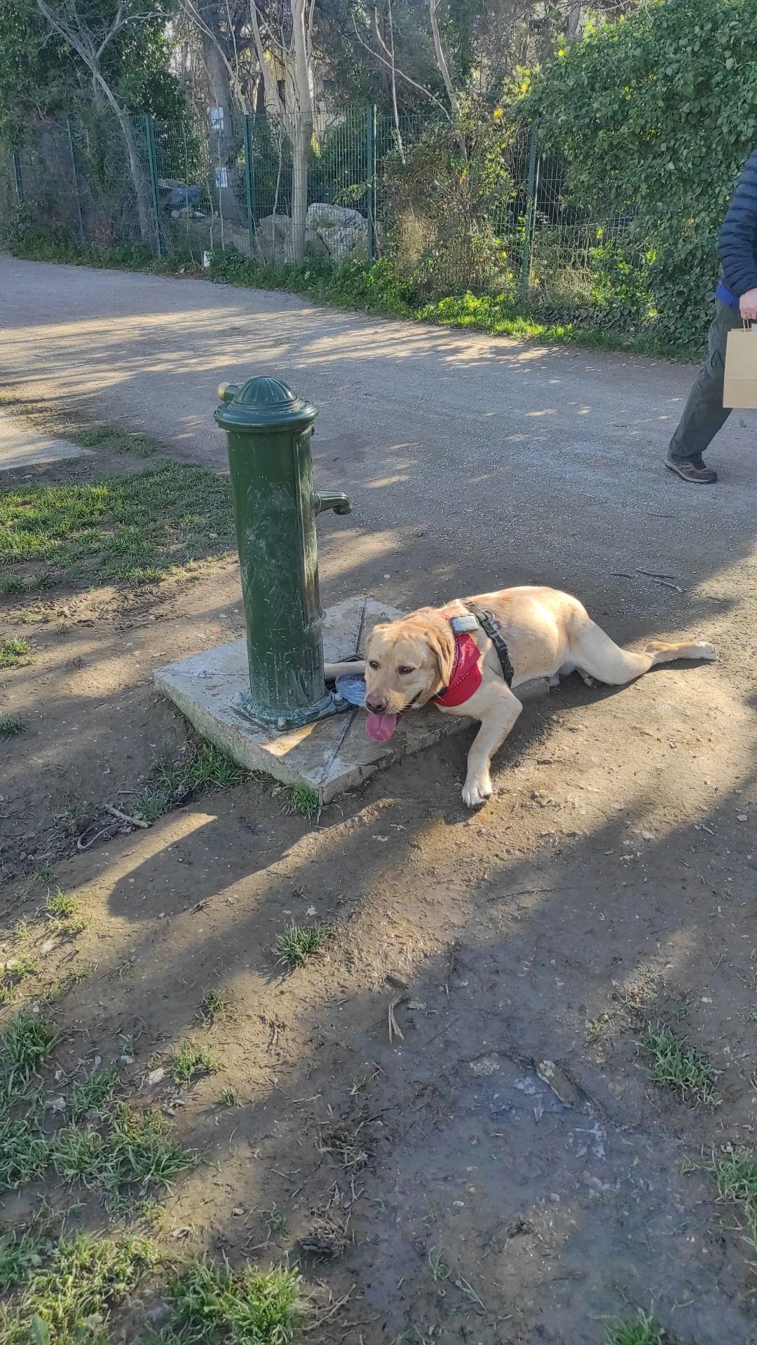 image-10