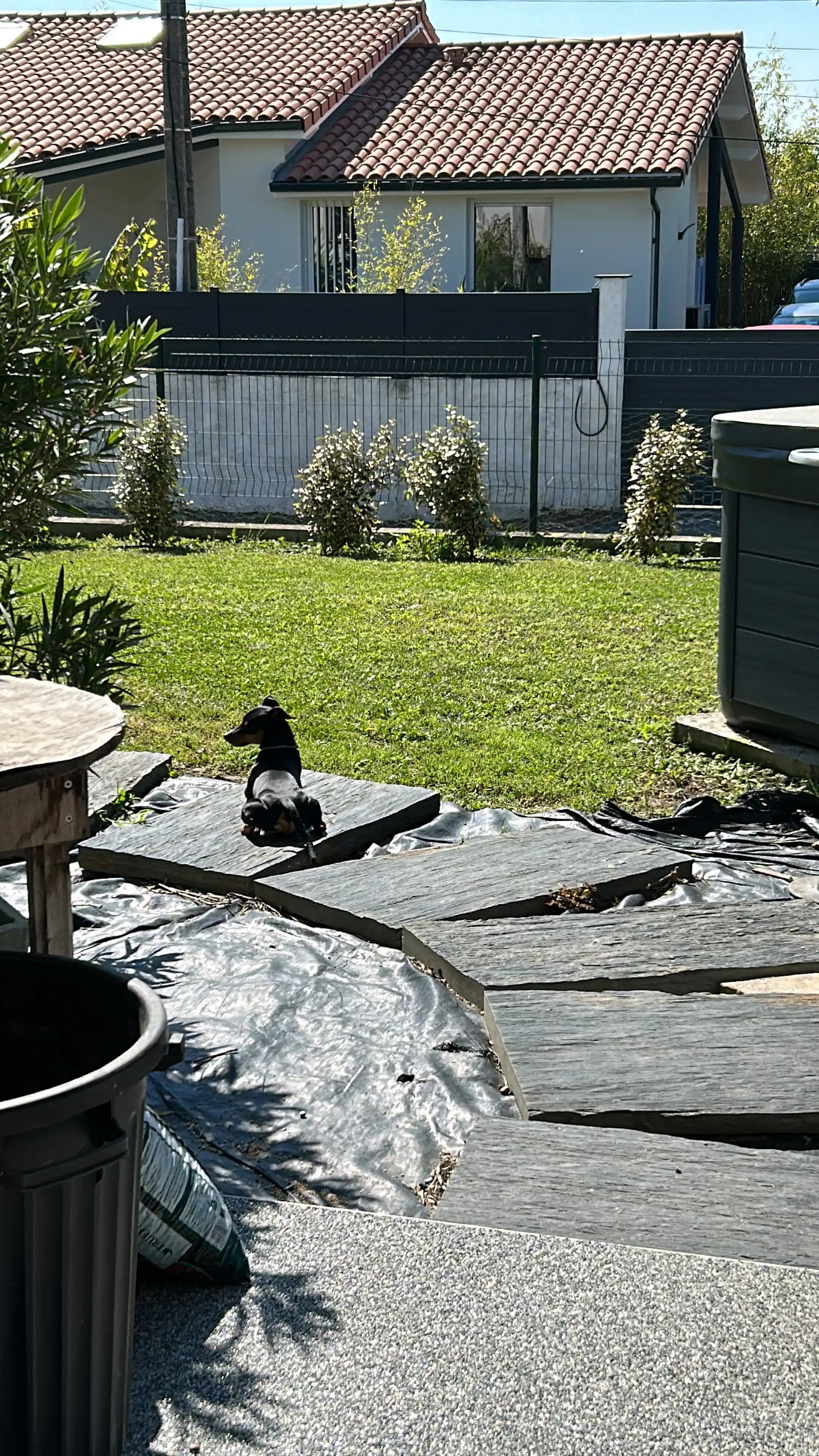 image-5