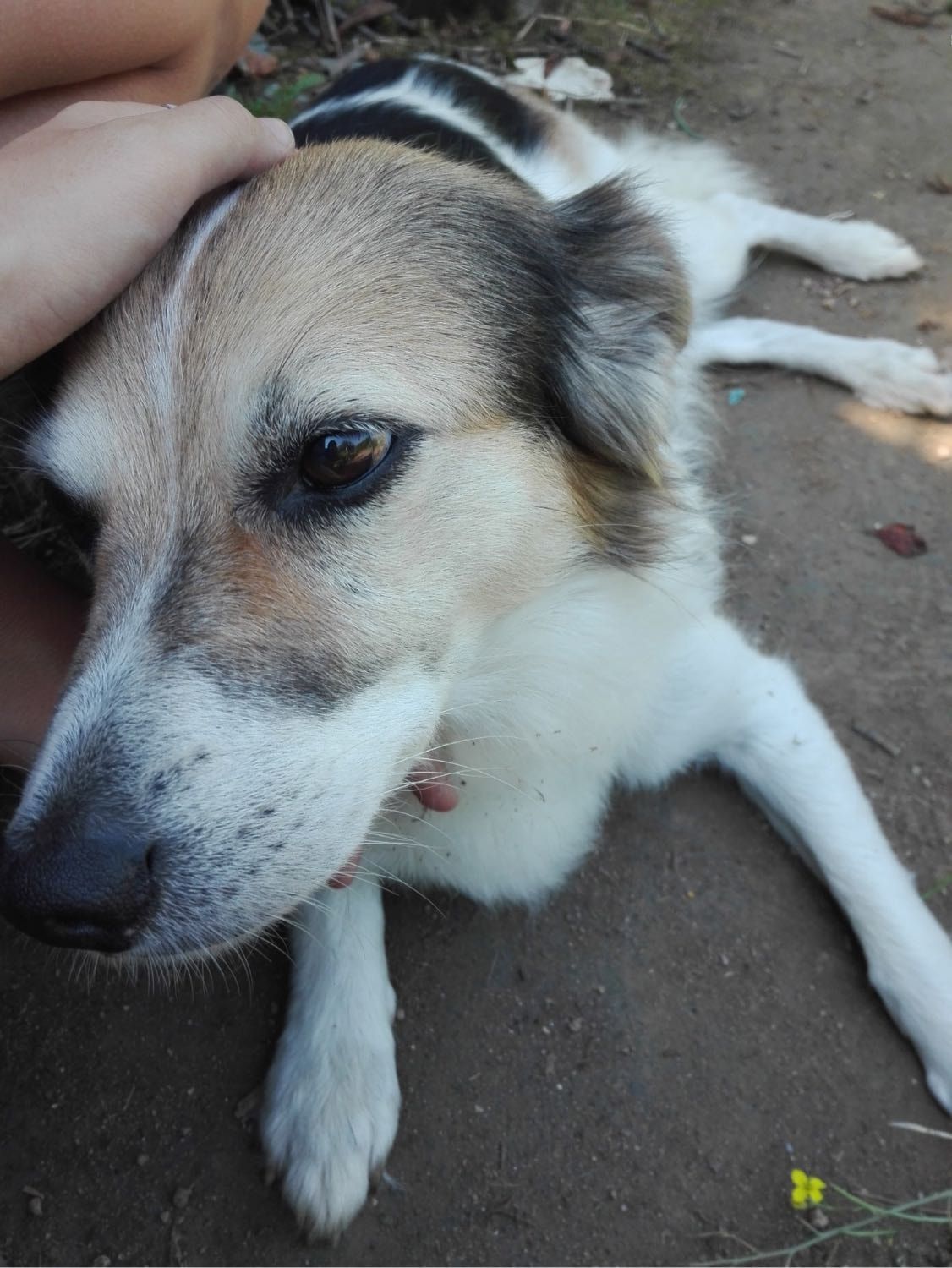 image-5