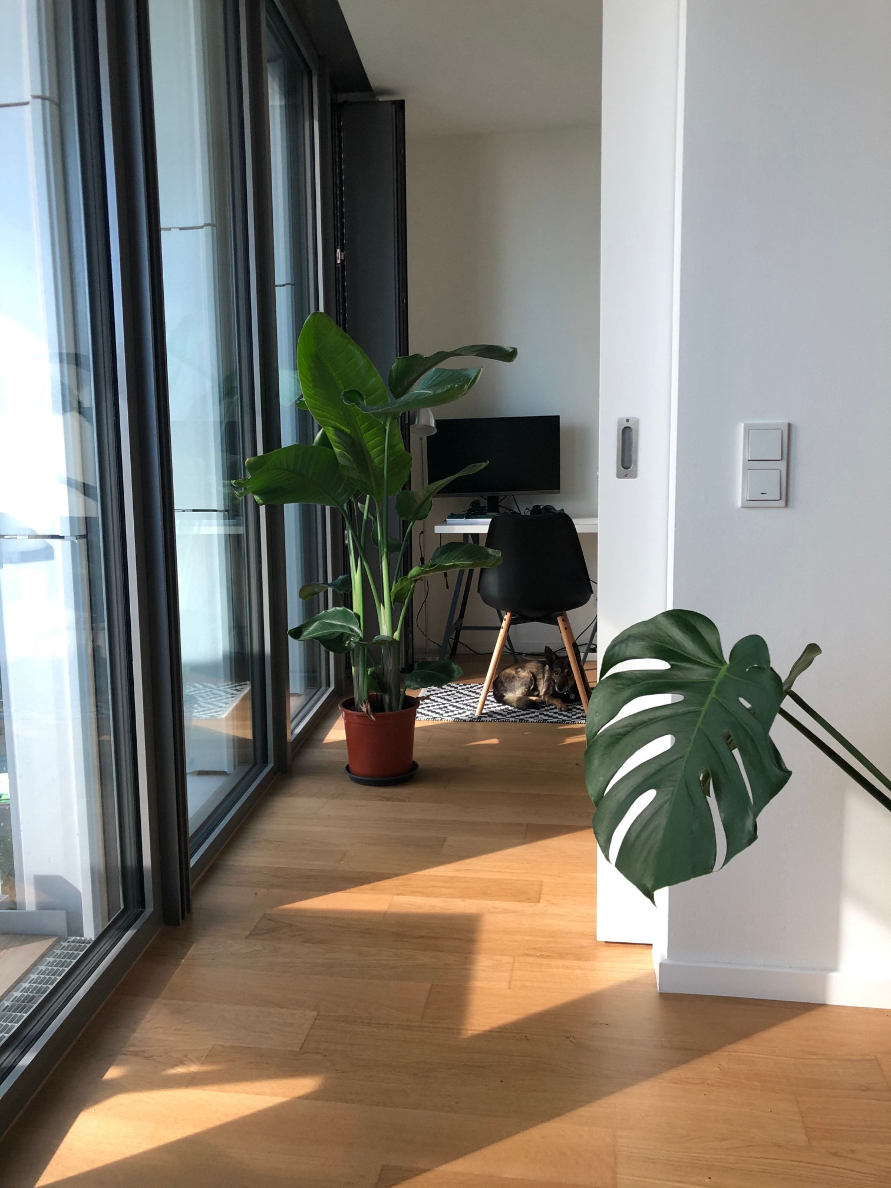 image-4