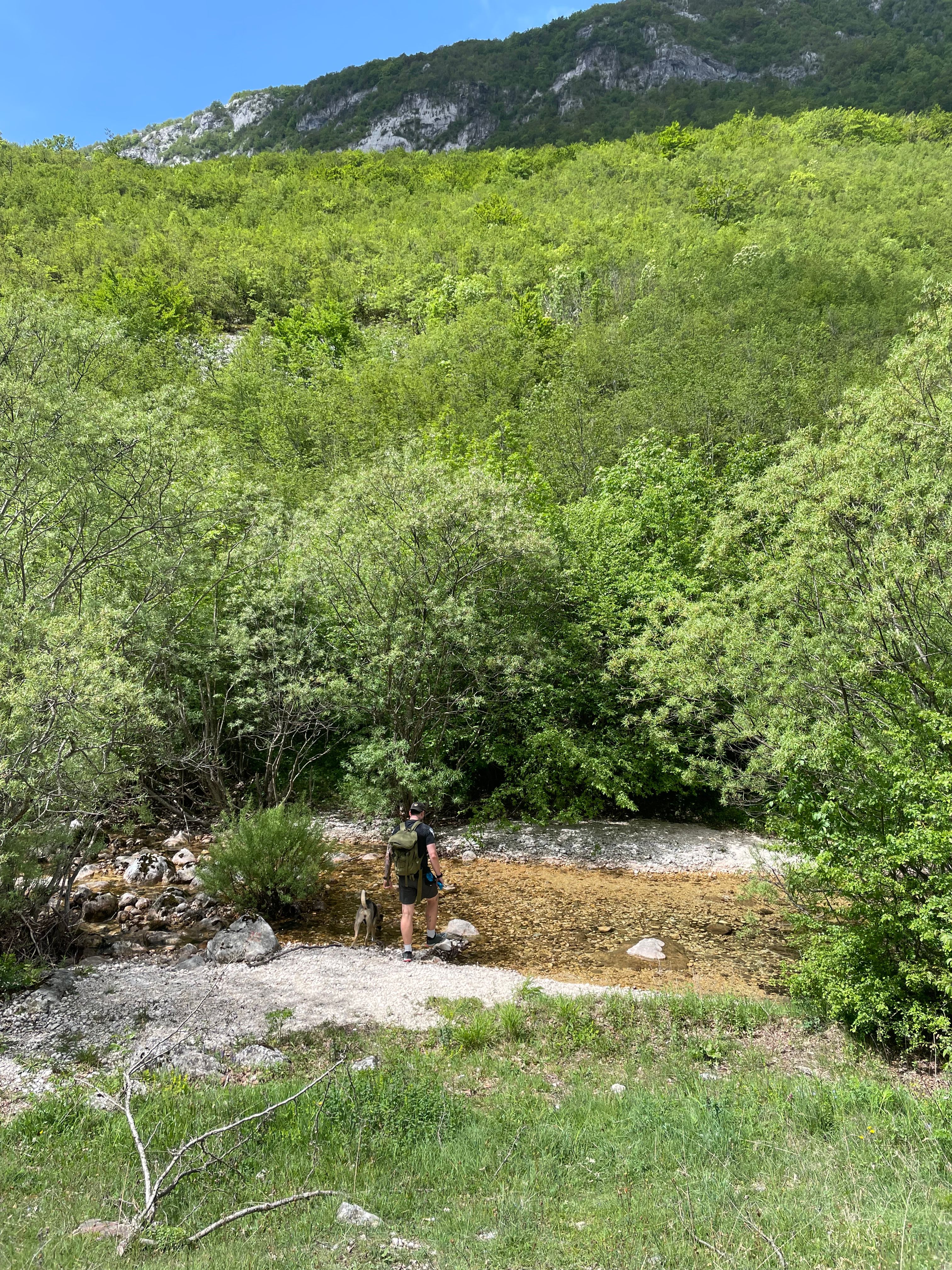 image-8