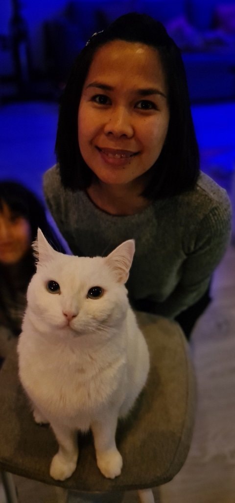 image-0