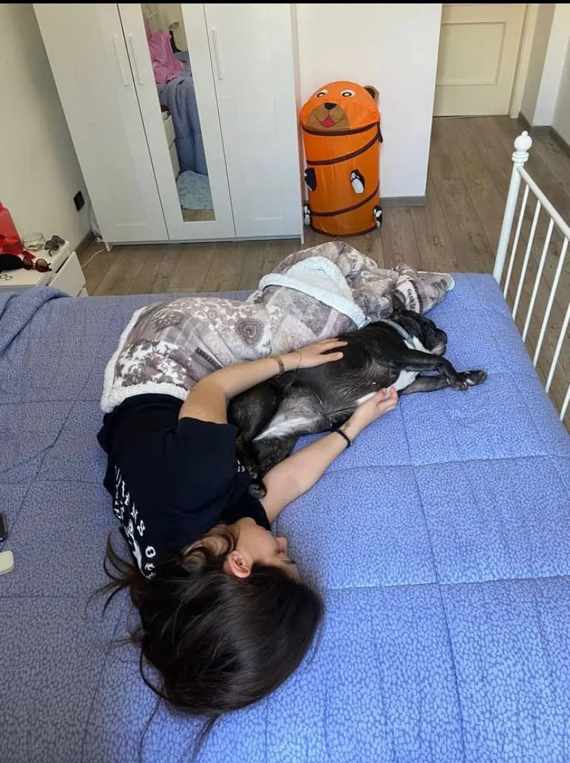 image-4