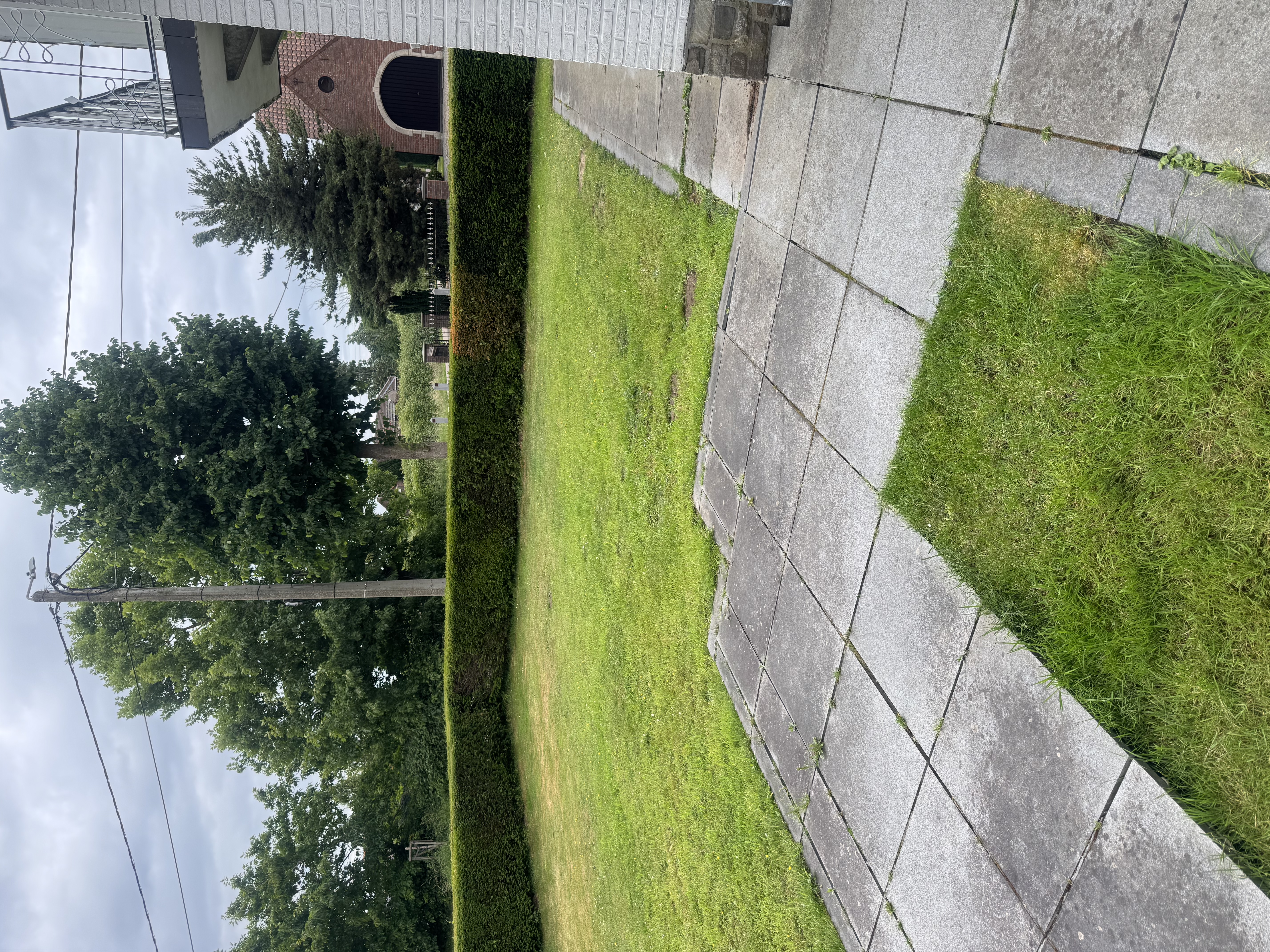 image-14