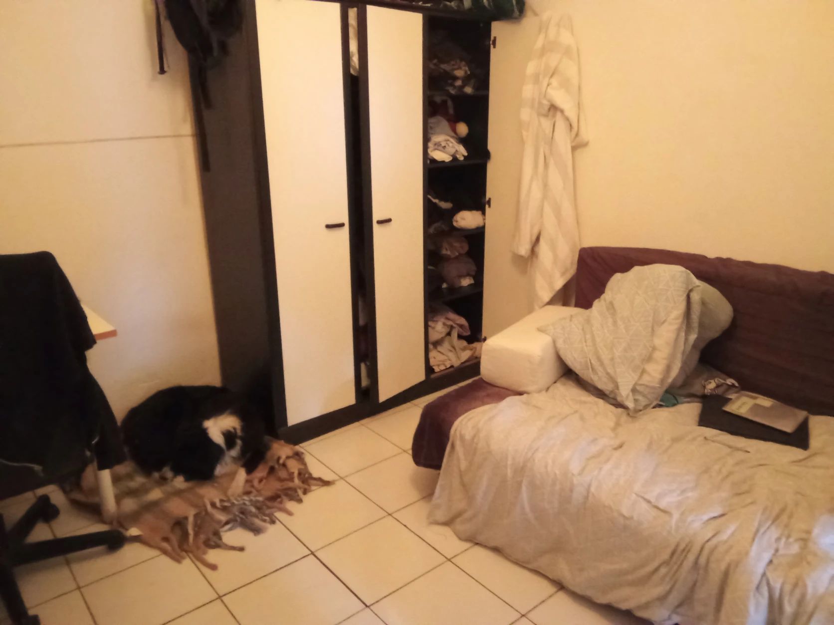 image-19