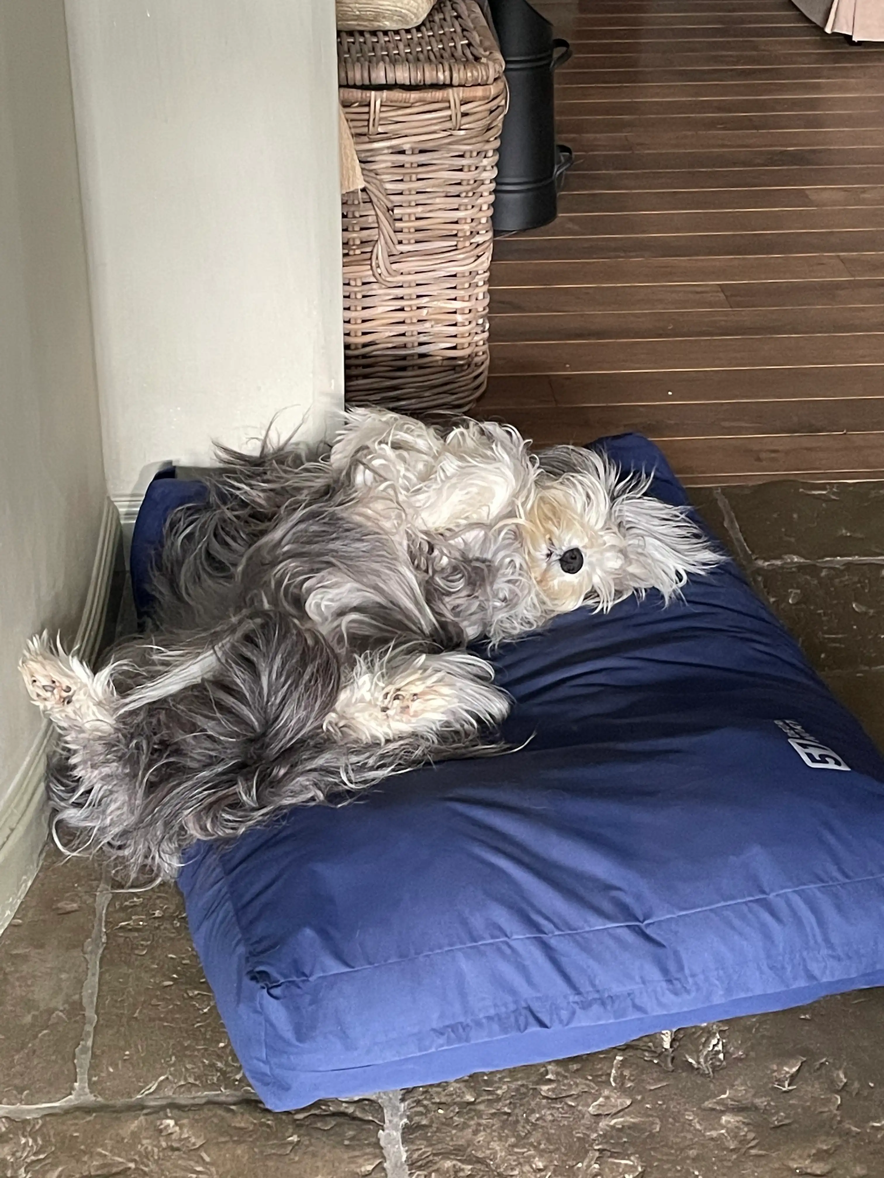 image-7