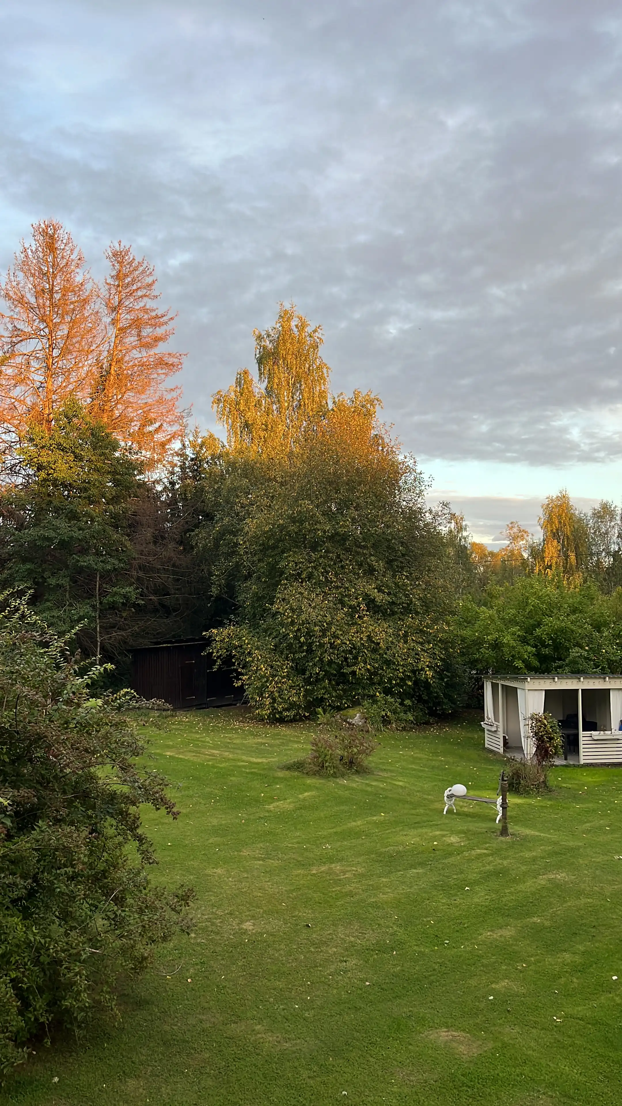 image-13