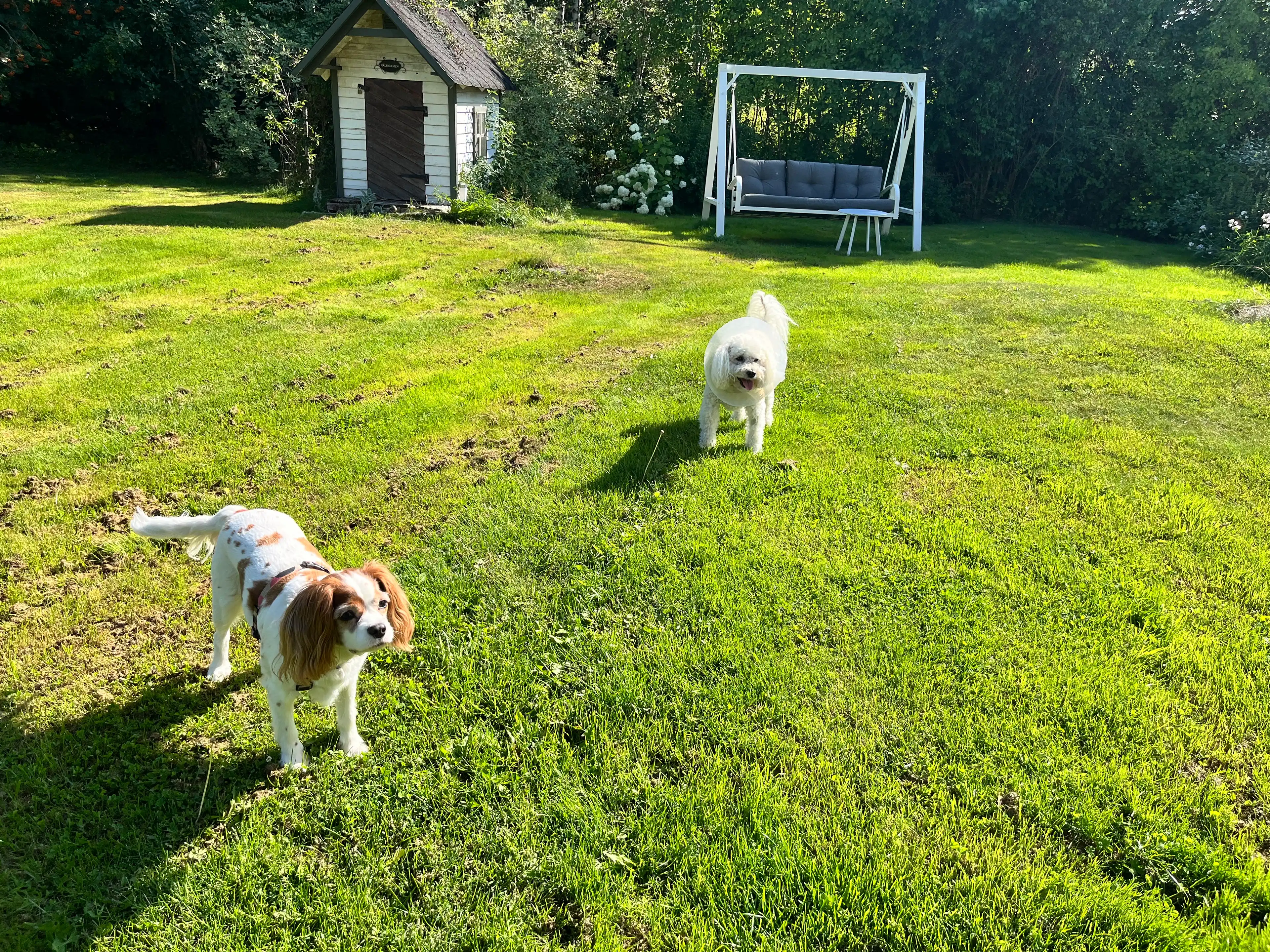 image-9