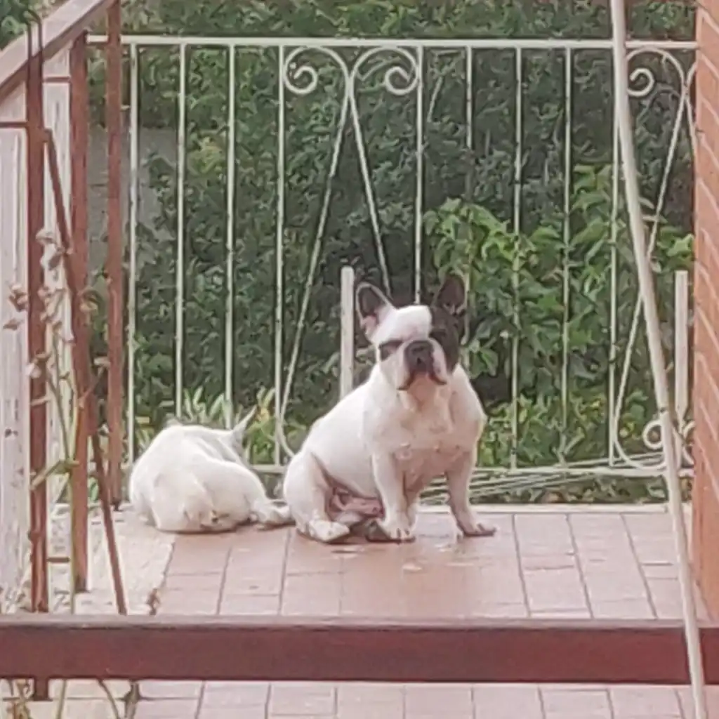 image-10
