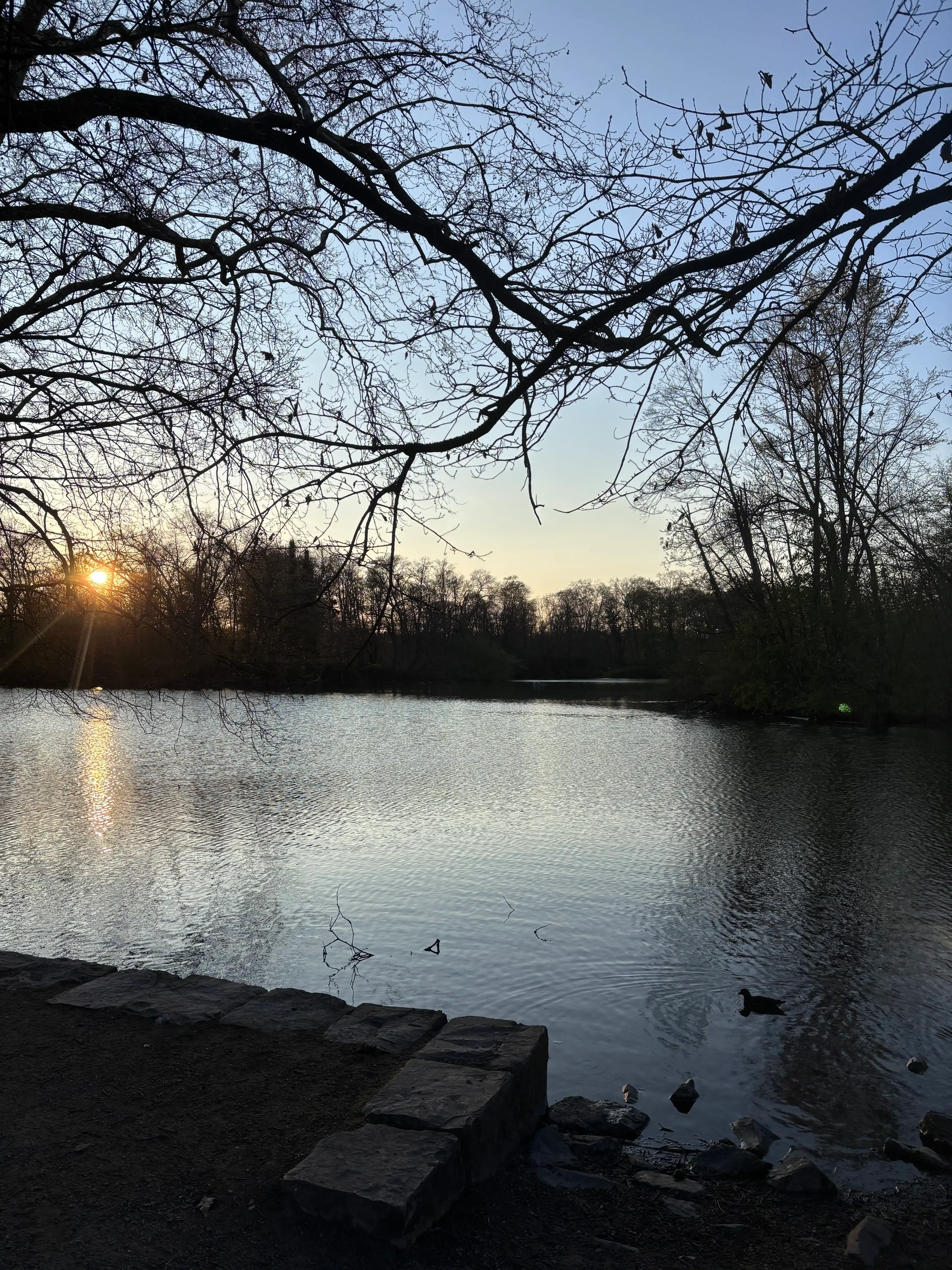 image-18