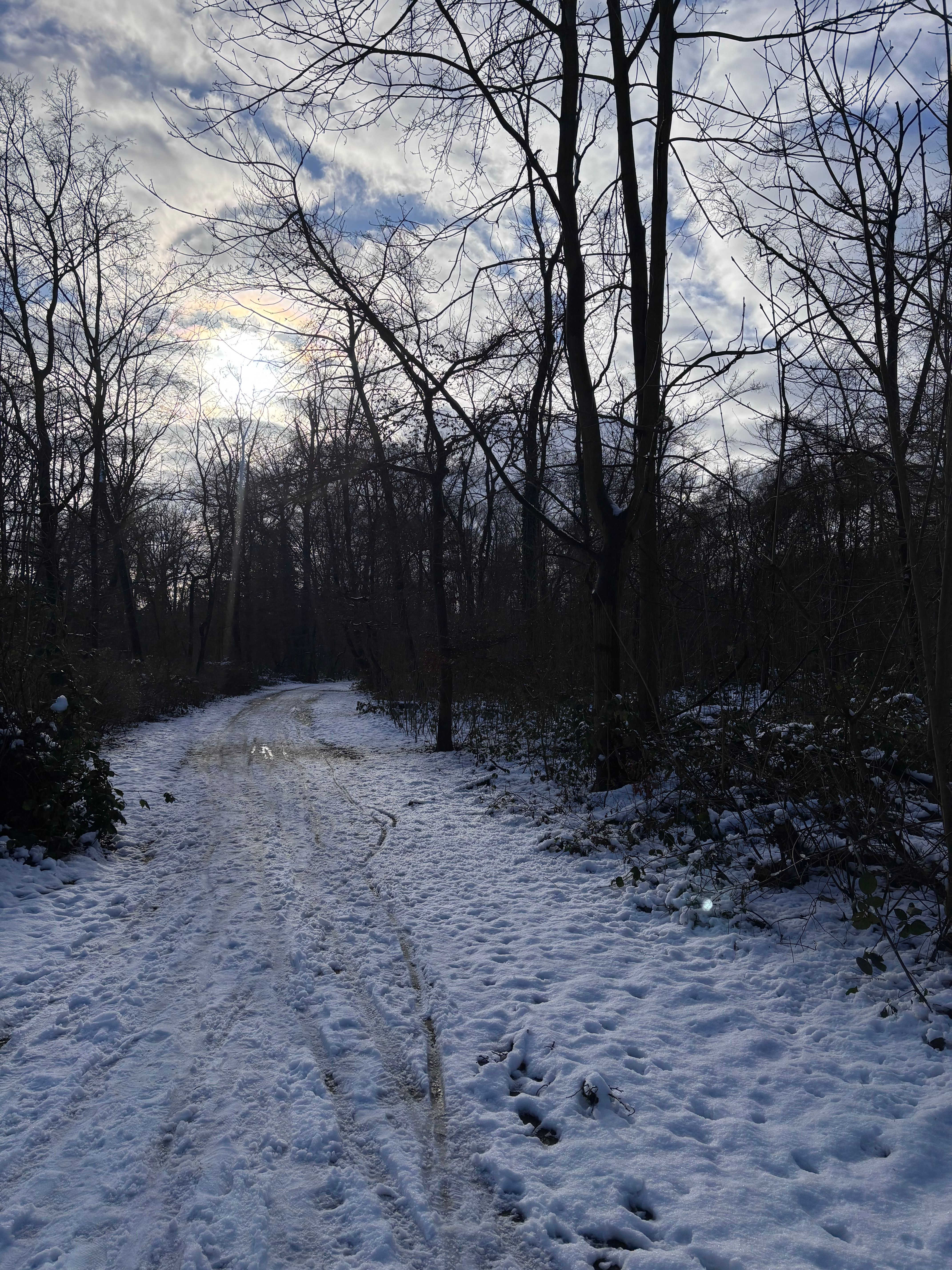 image-14