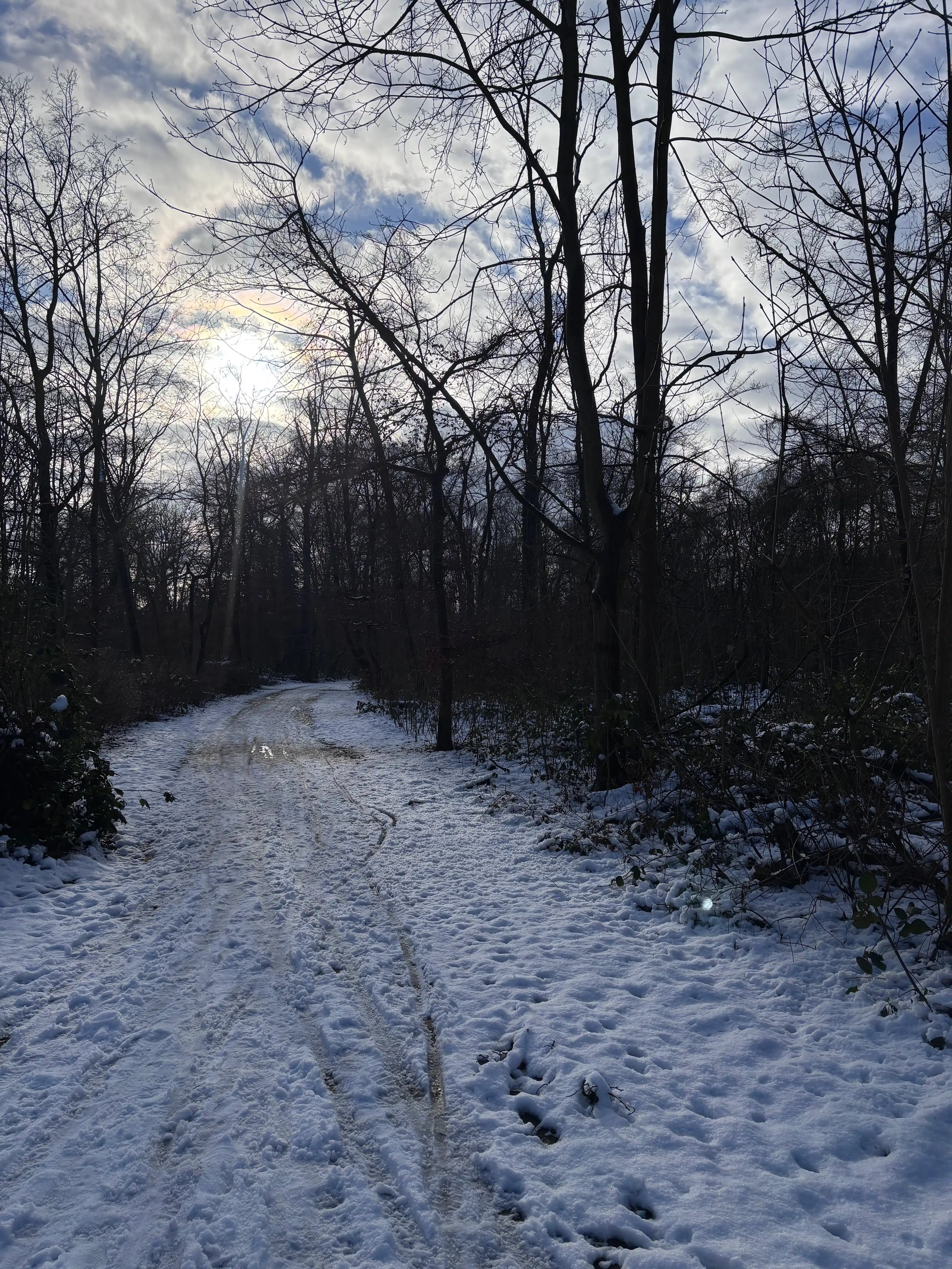 image-14