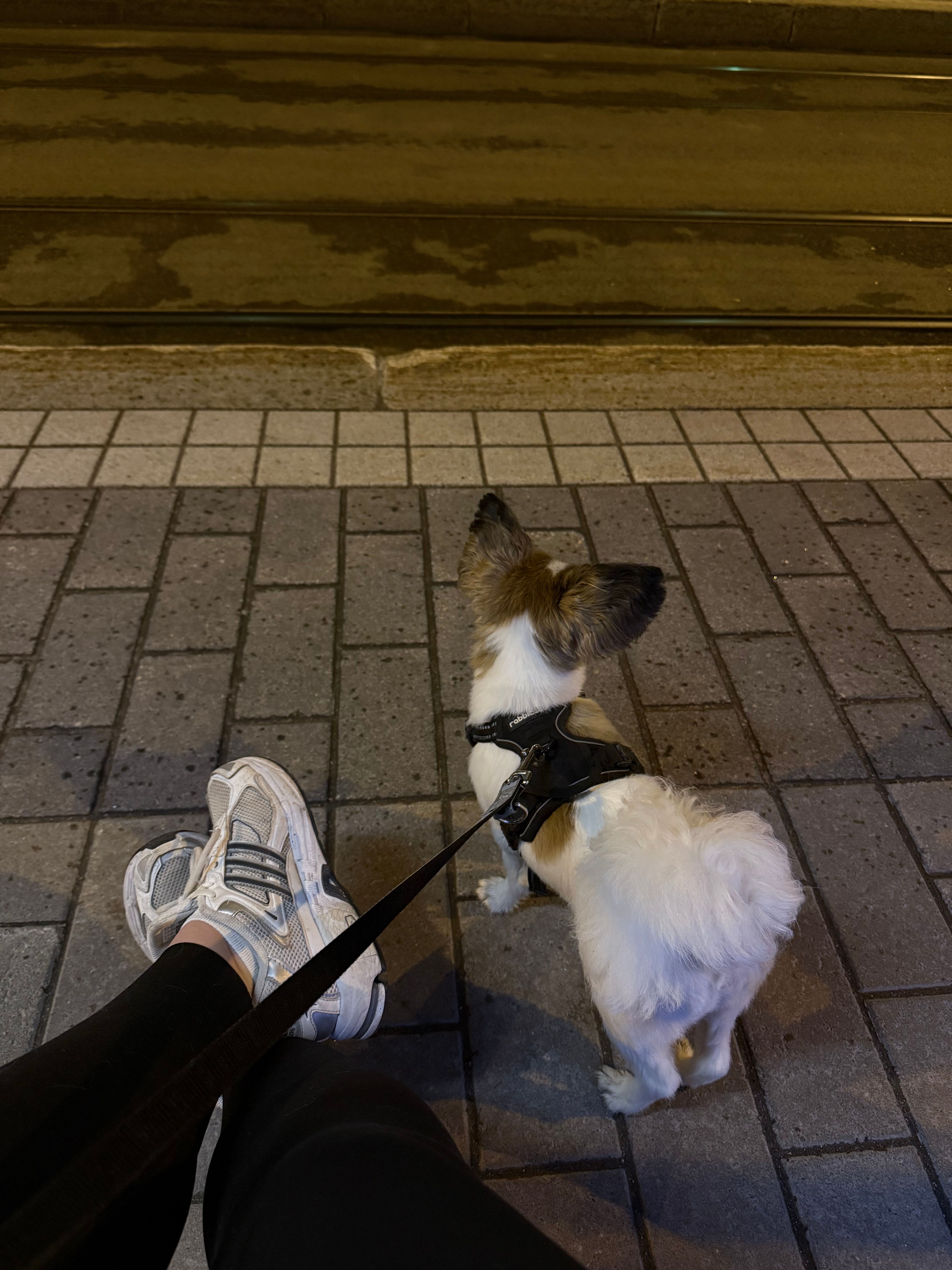 image-18