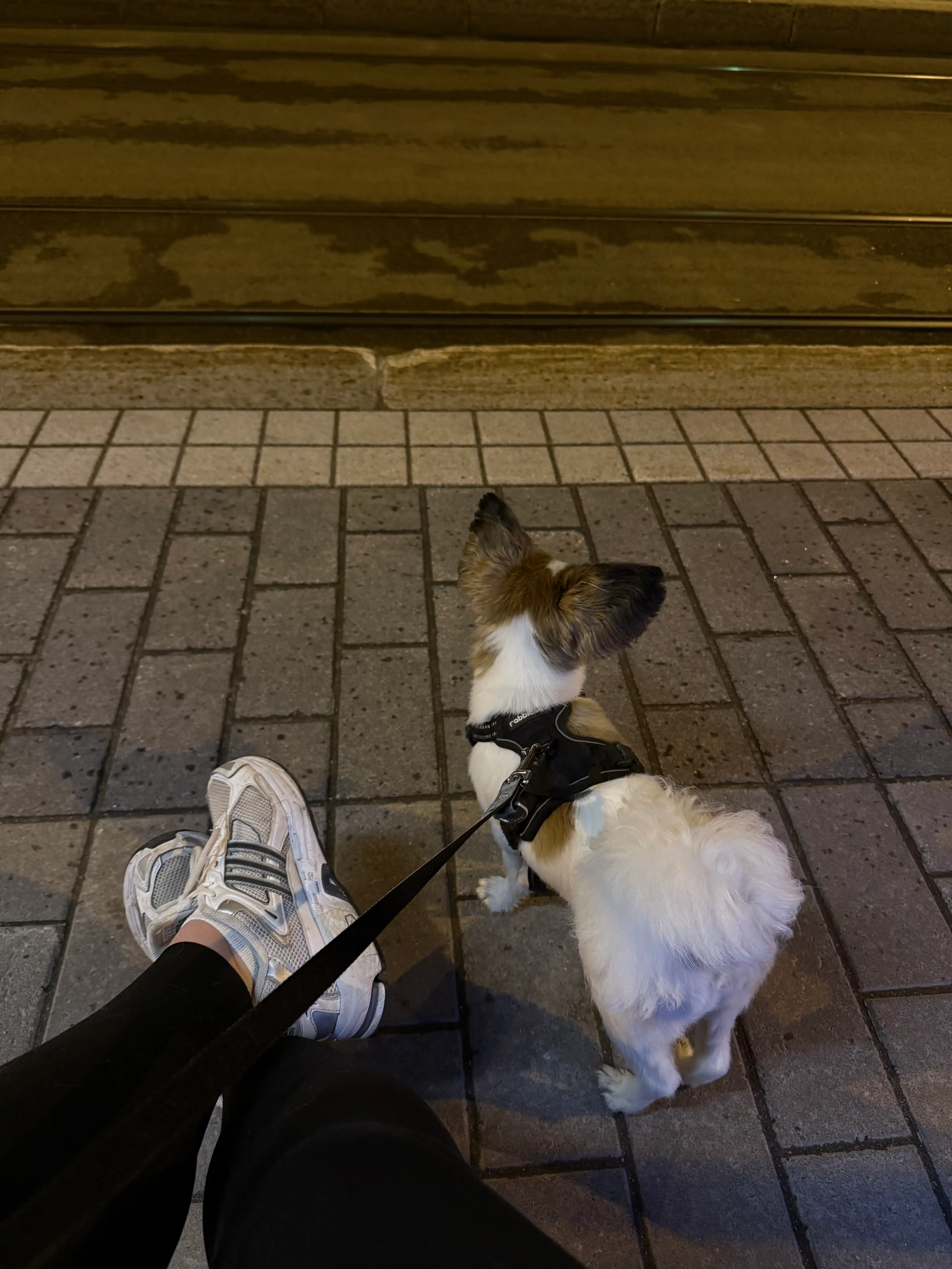 image-18