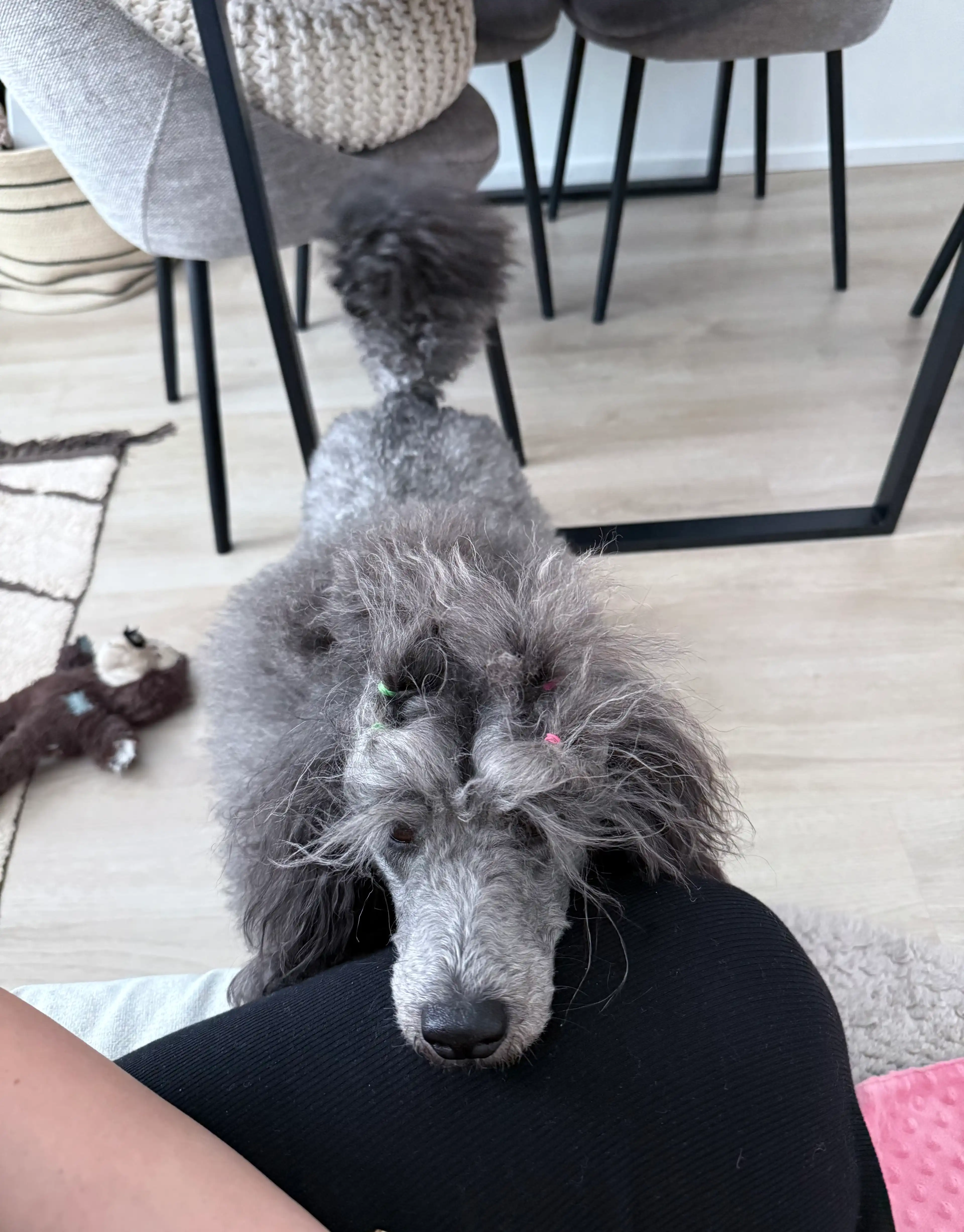 image-9