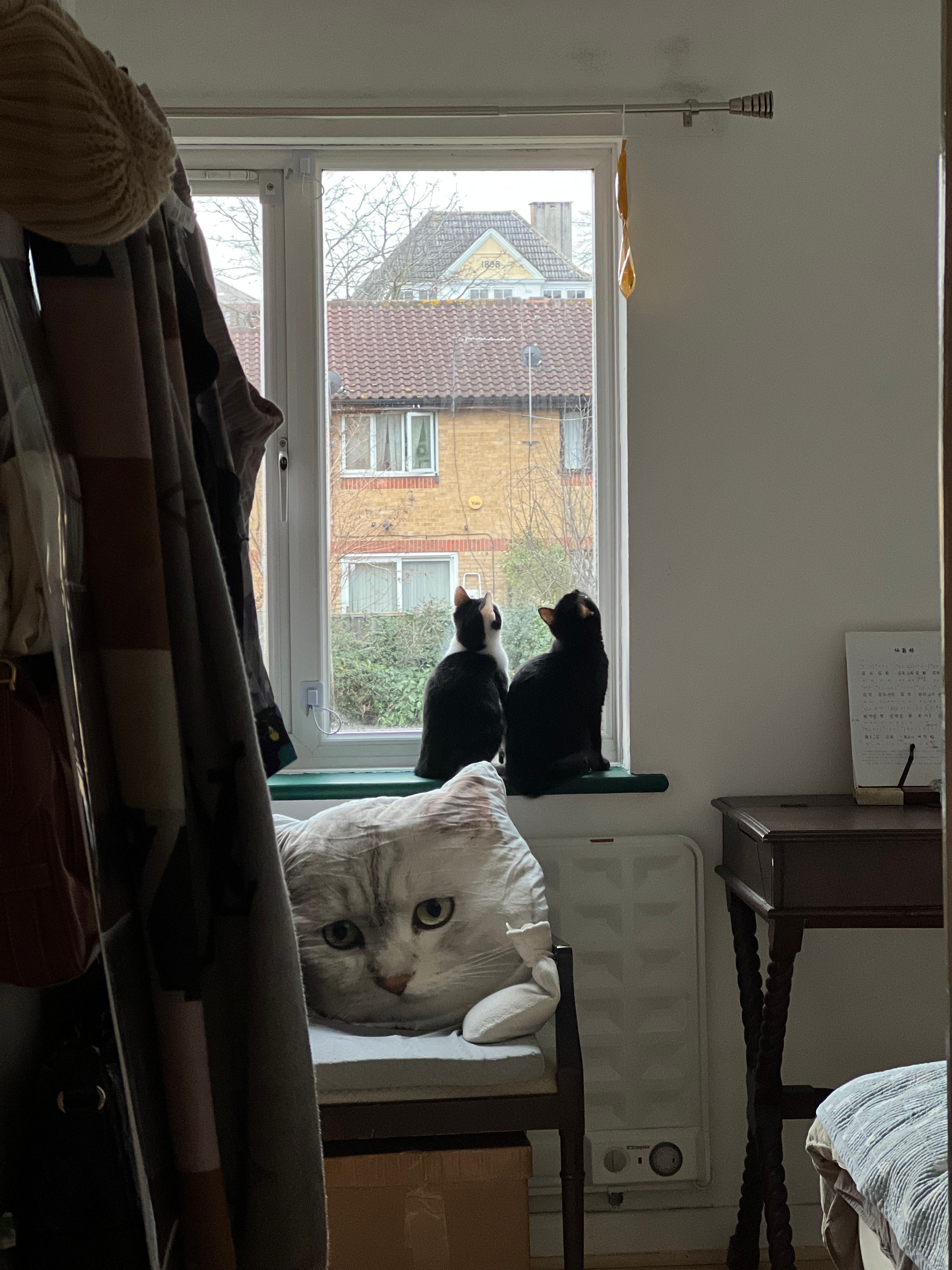 image-16