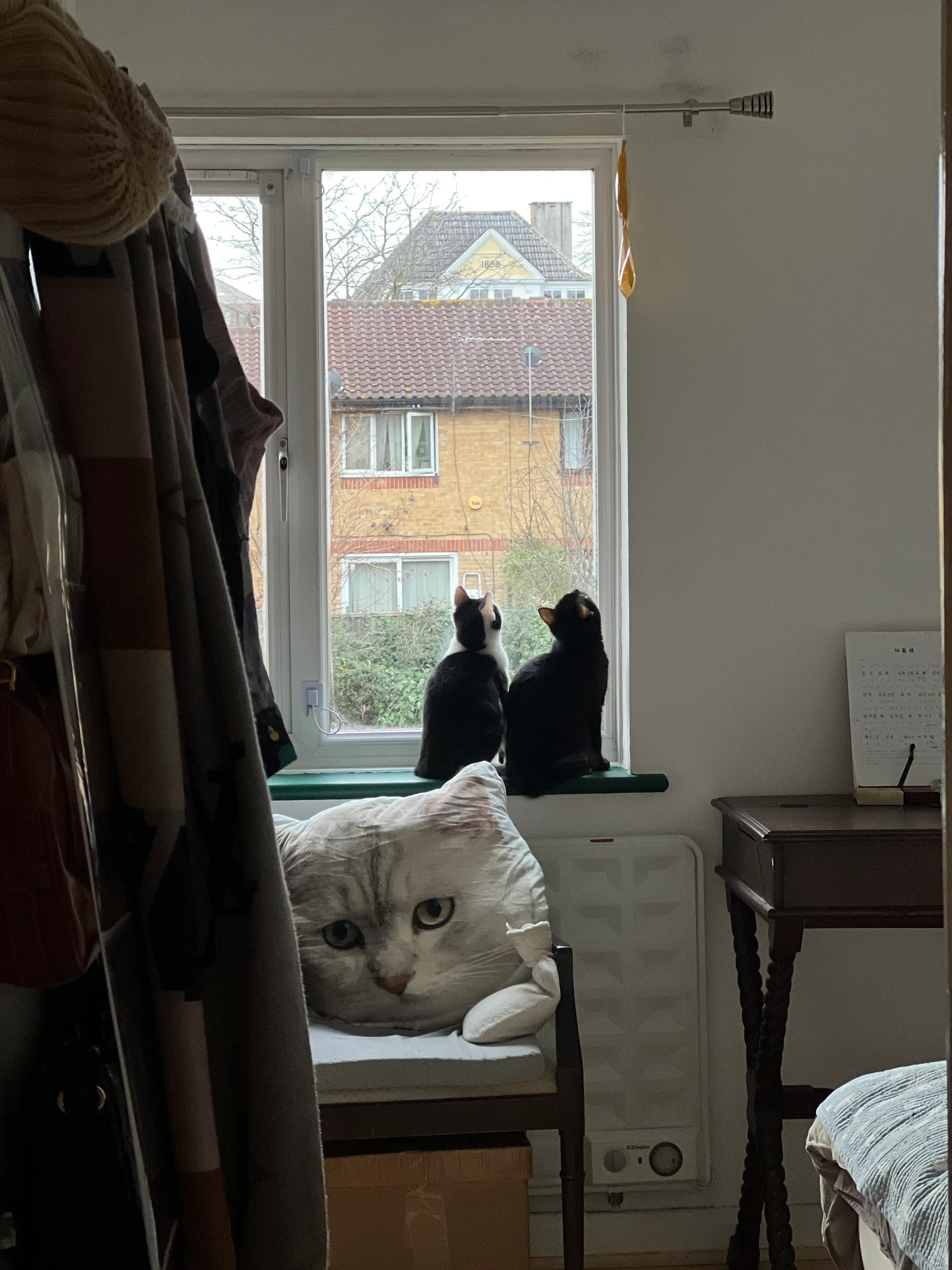 image-16