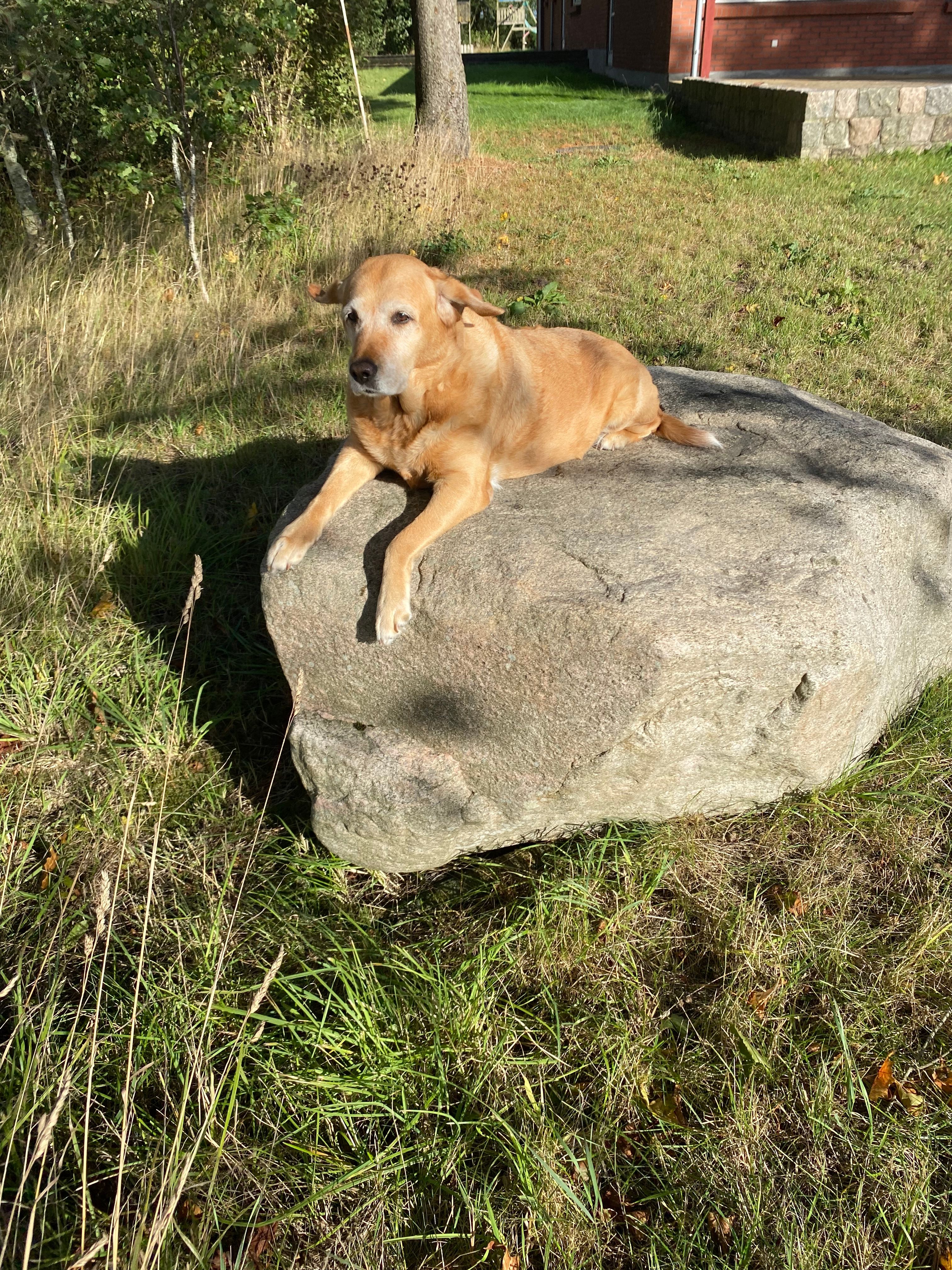 image-6