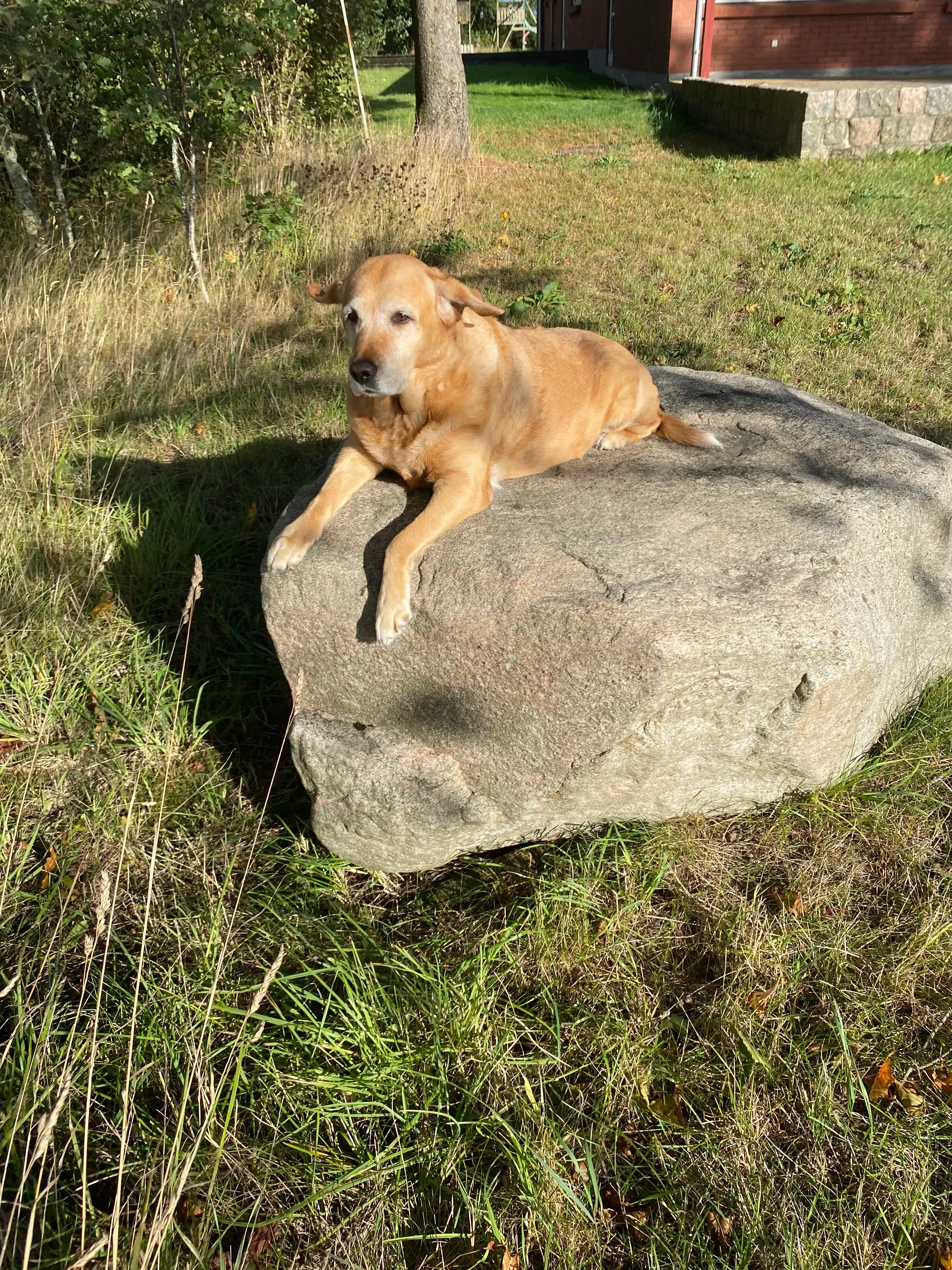 image-6