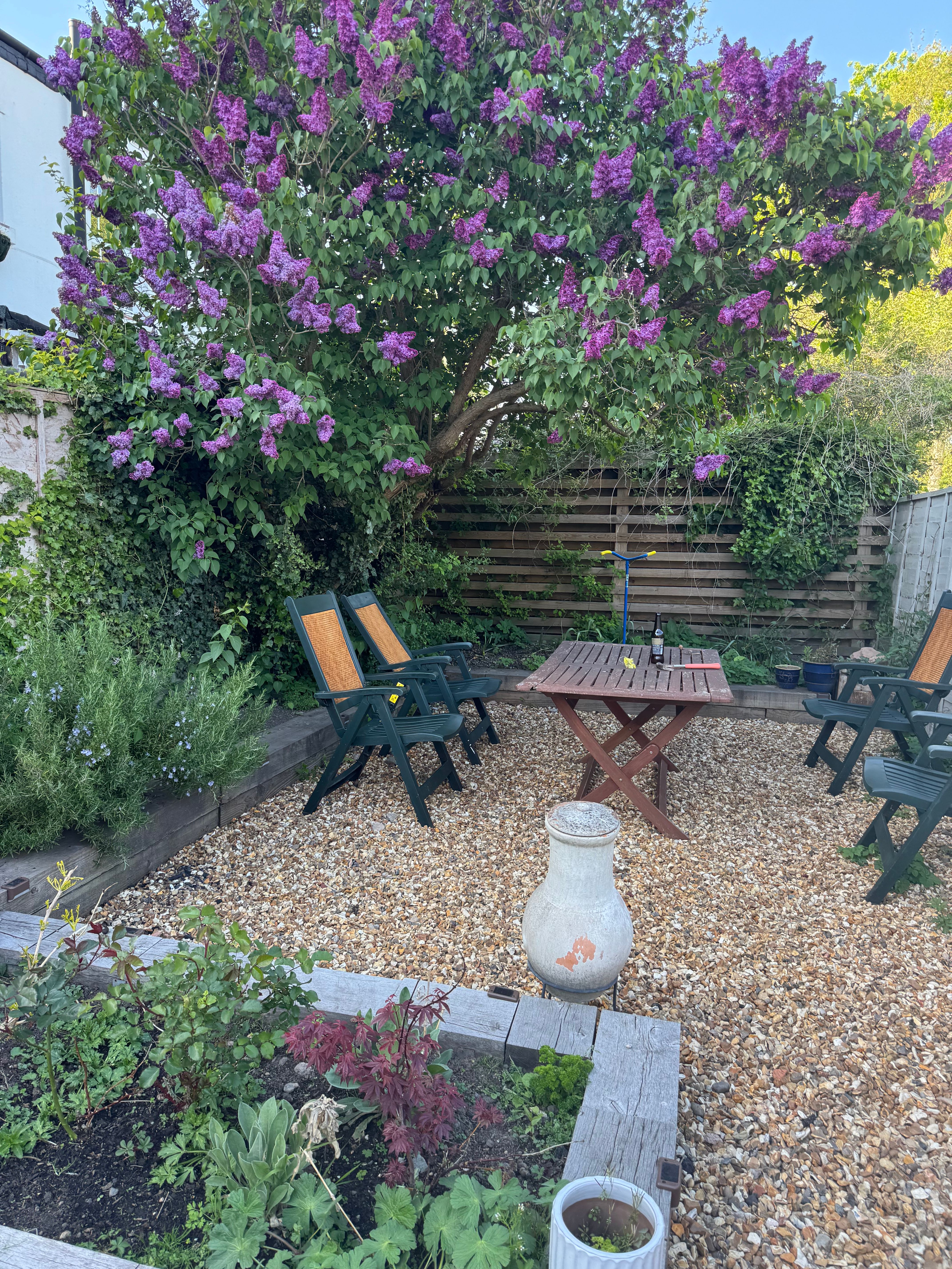 image-27