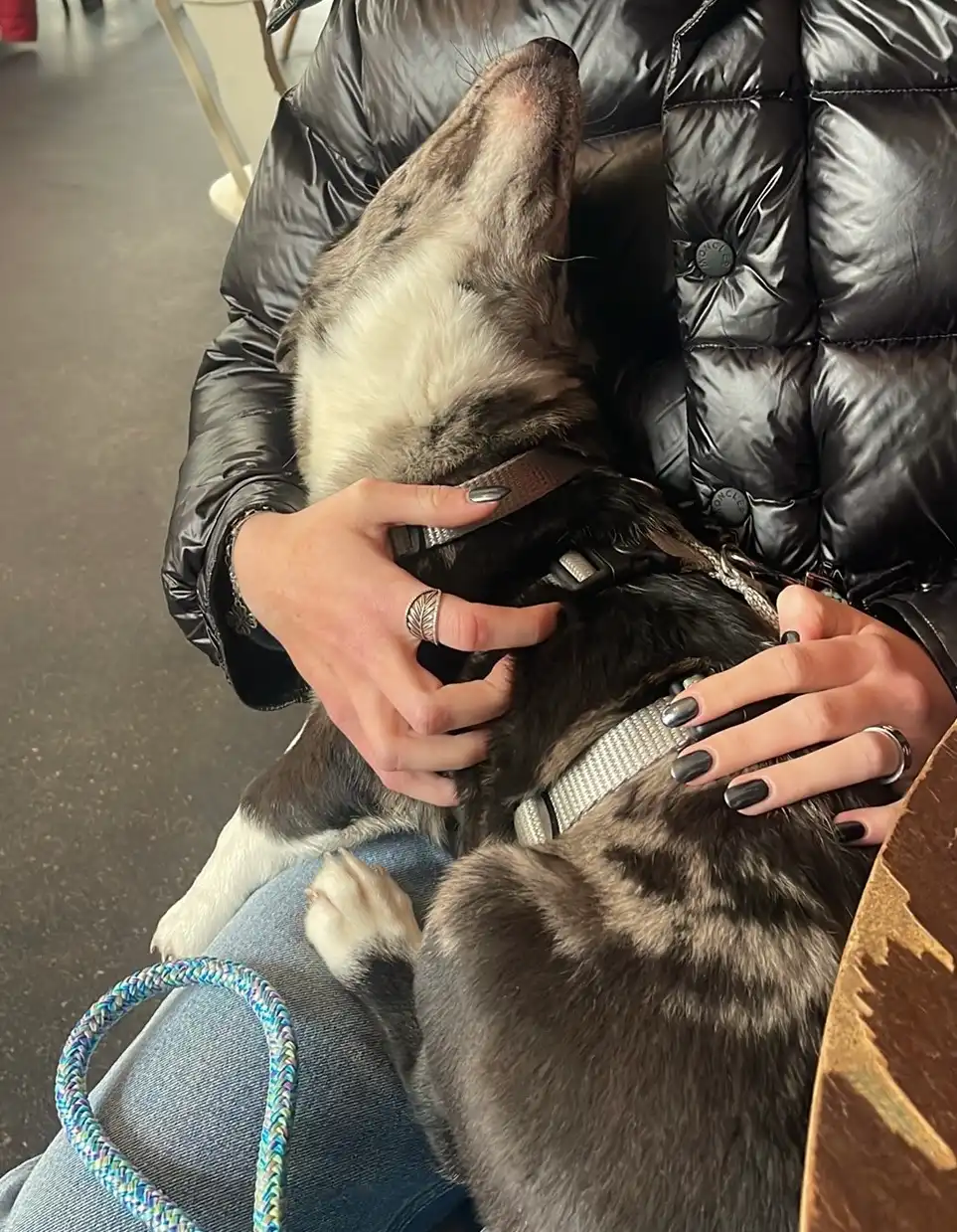 image-7