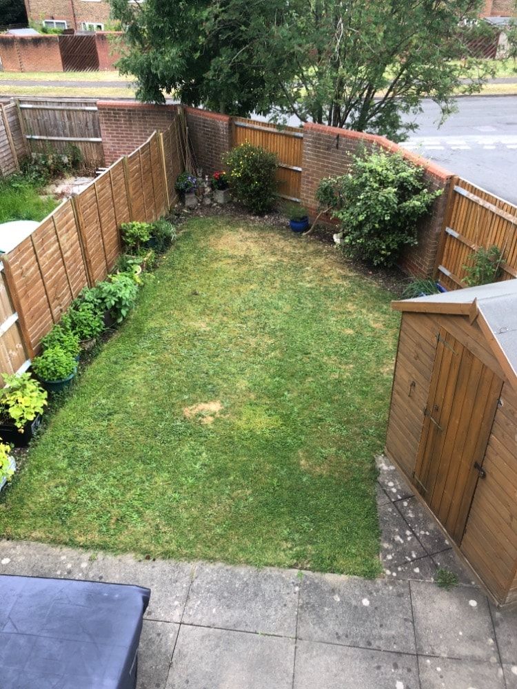 image-3