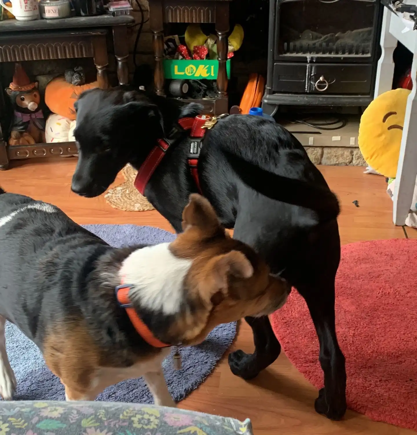 image-10
