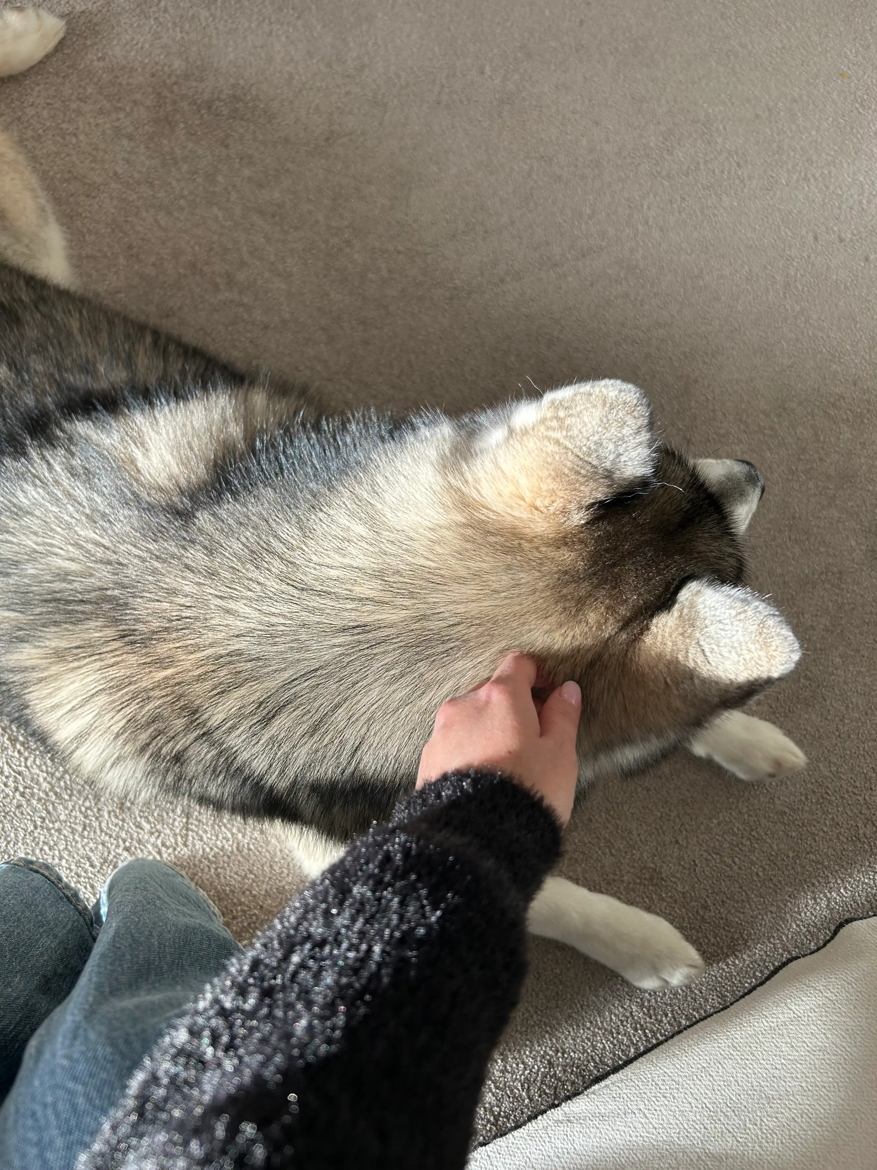 image-9