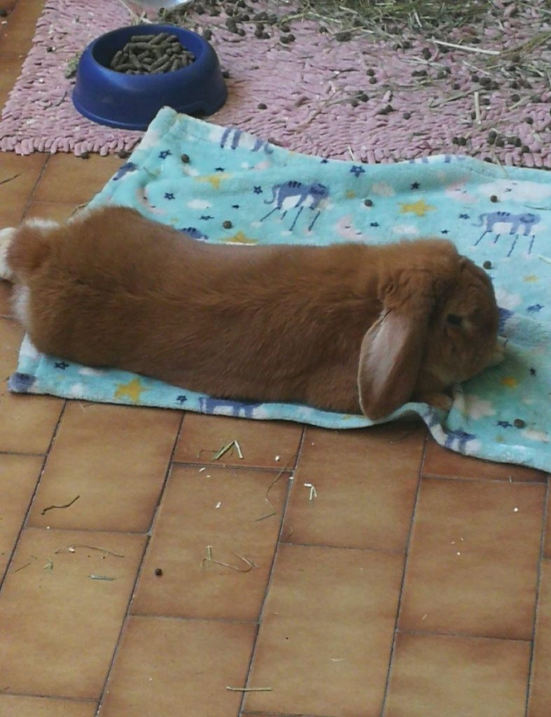 image-11