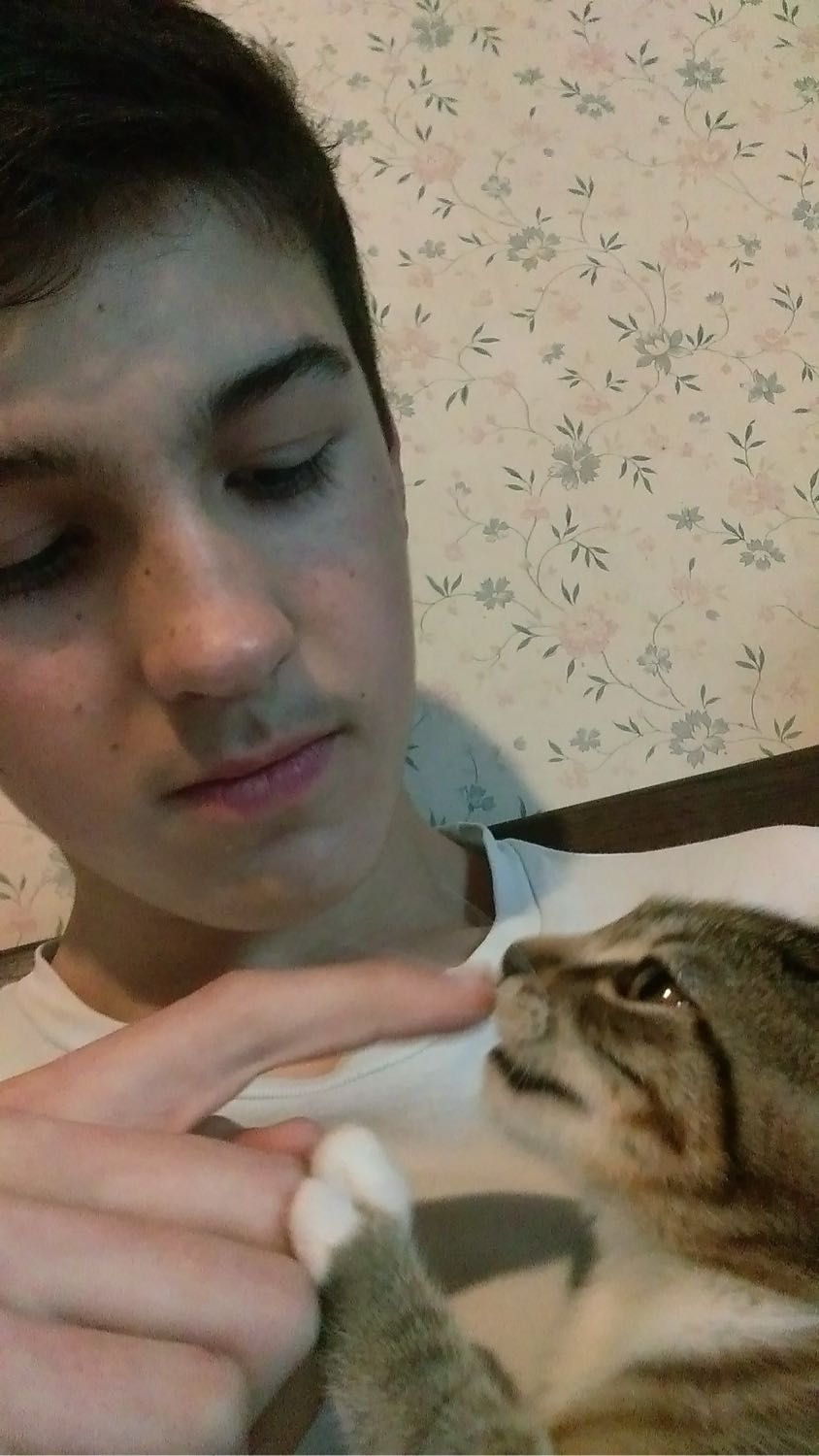 image-8