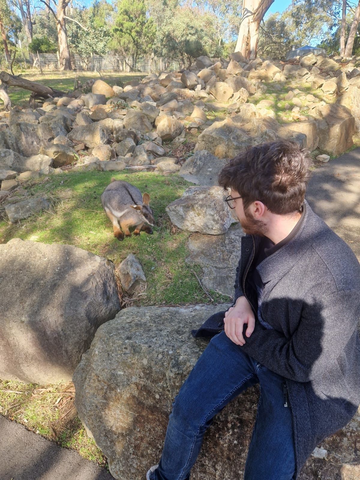 image-7