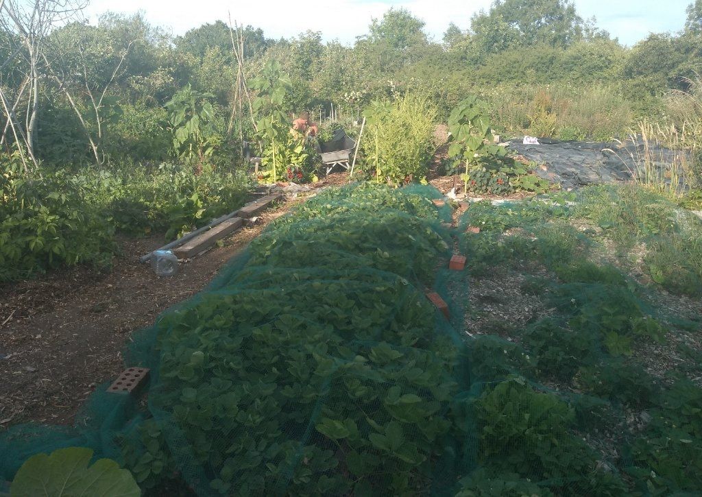 image-6