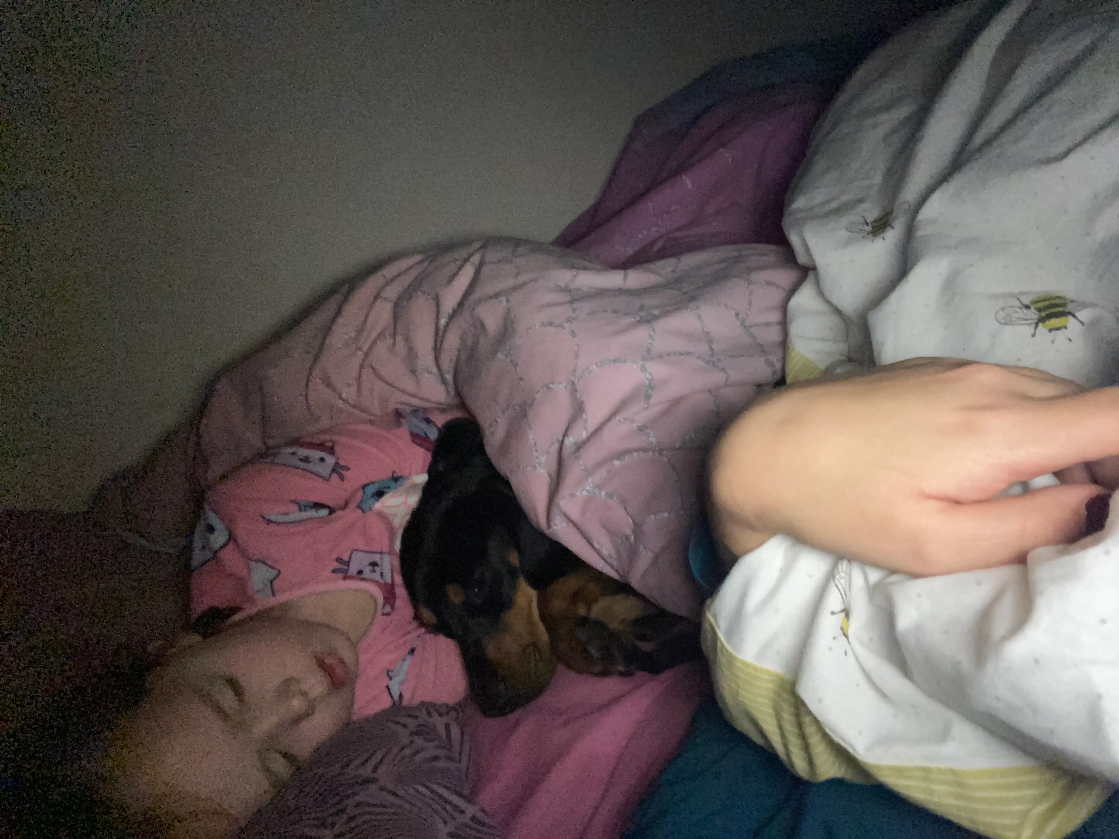 image-16