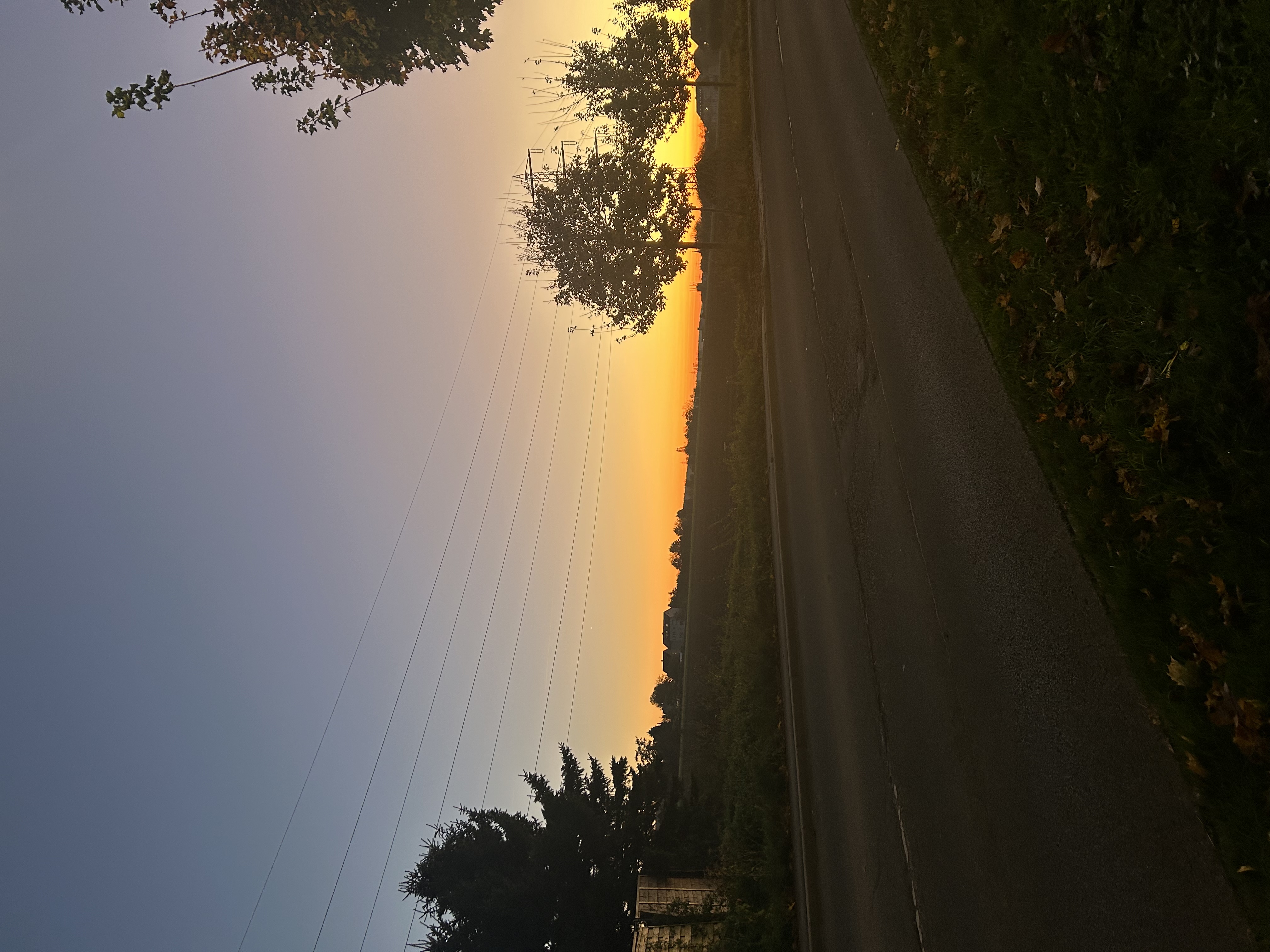 image-19