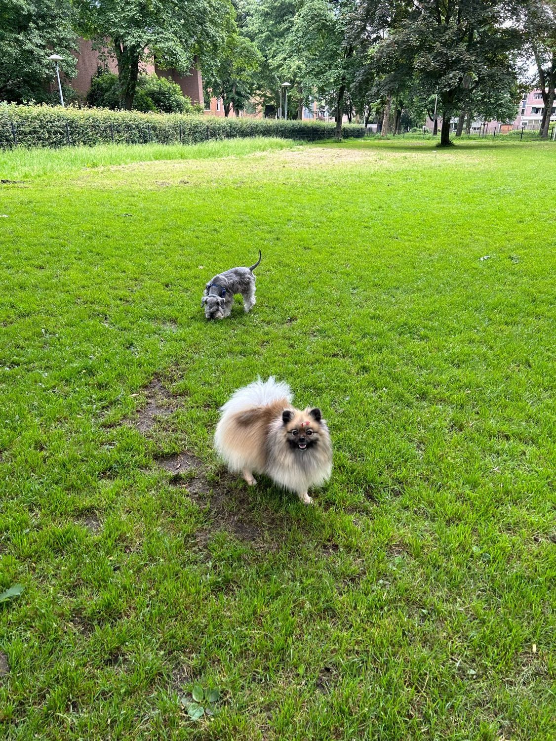 image-26