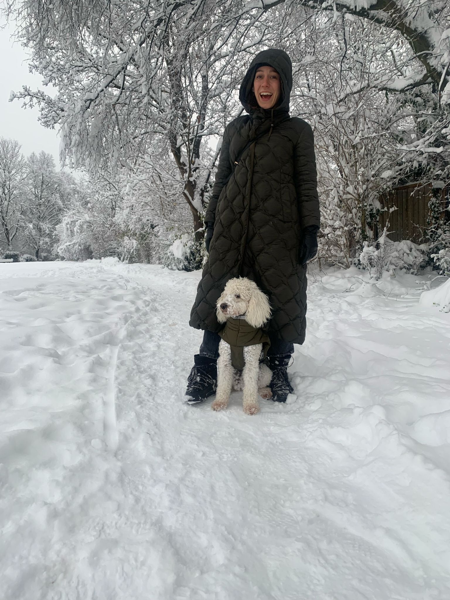 image-5