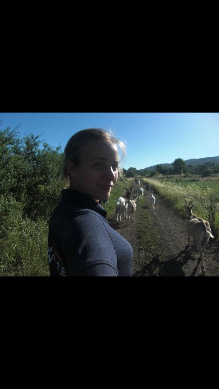 image-3