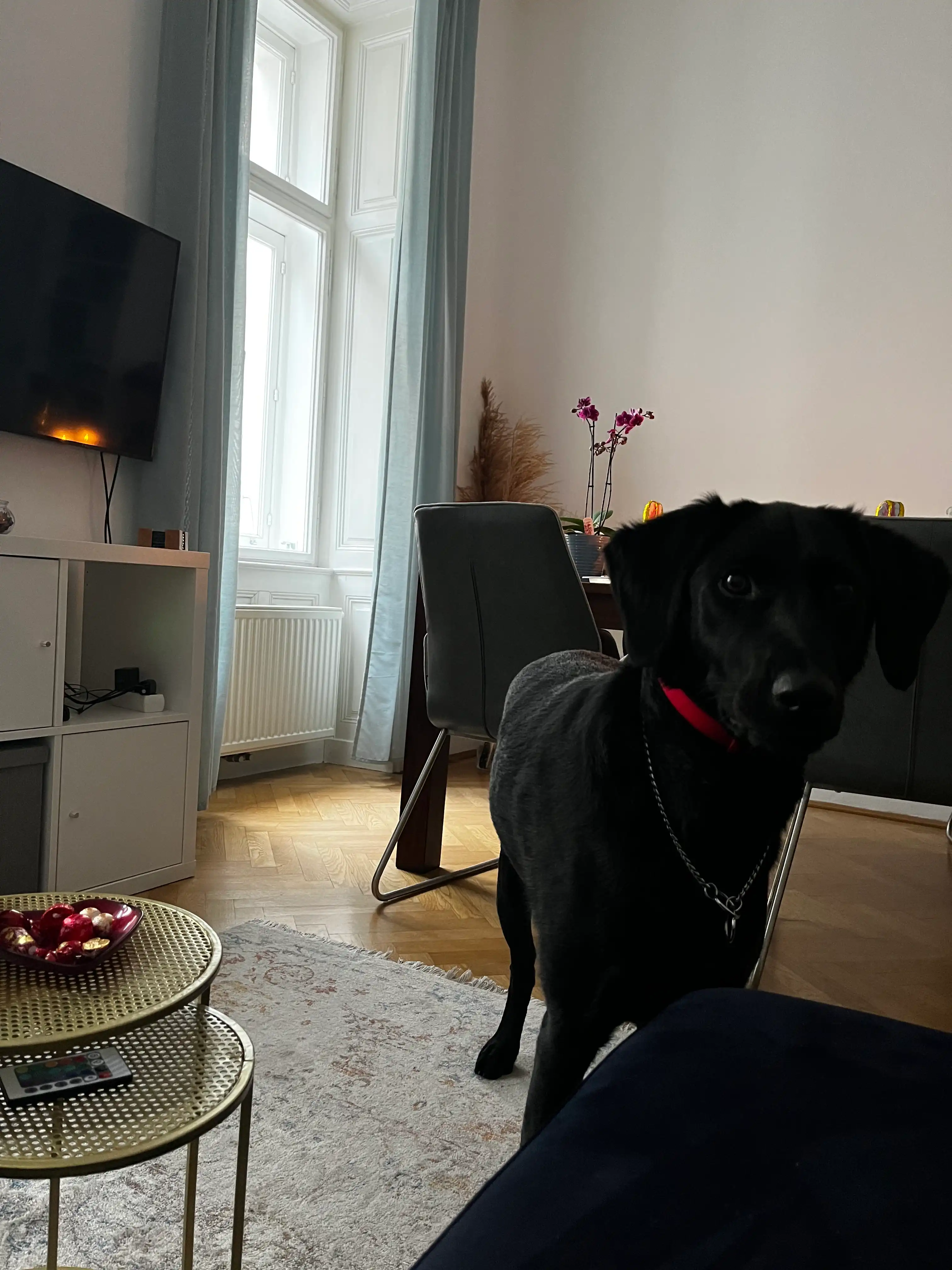 image-16