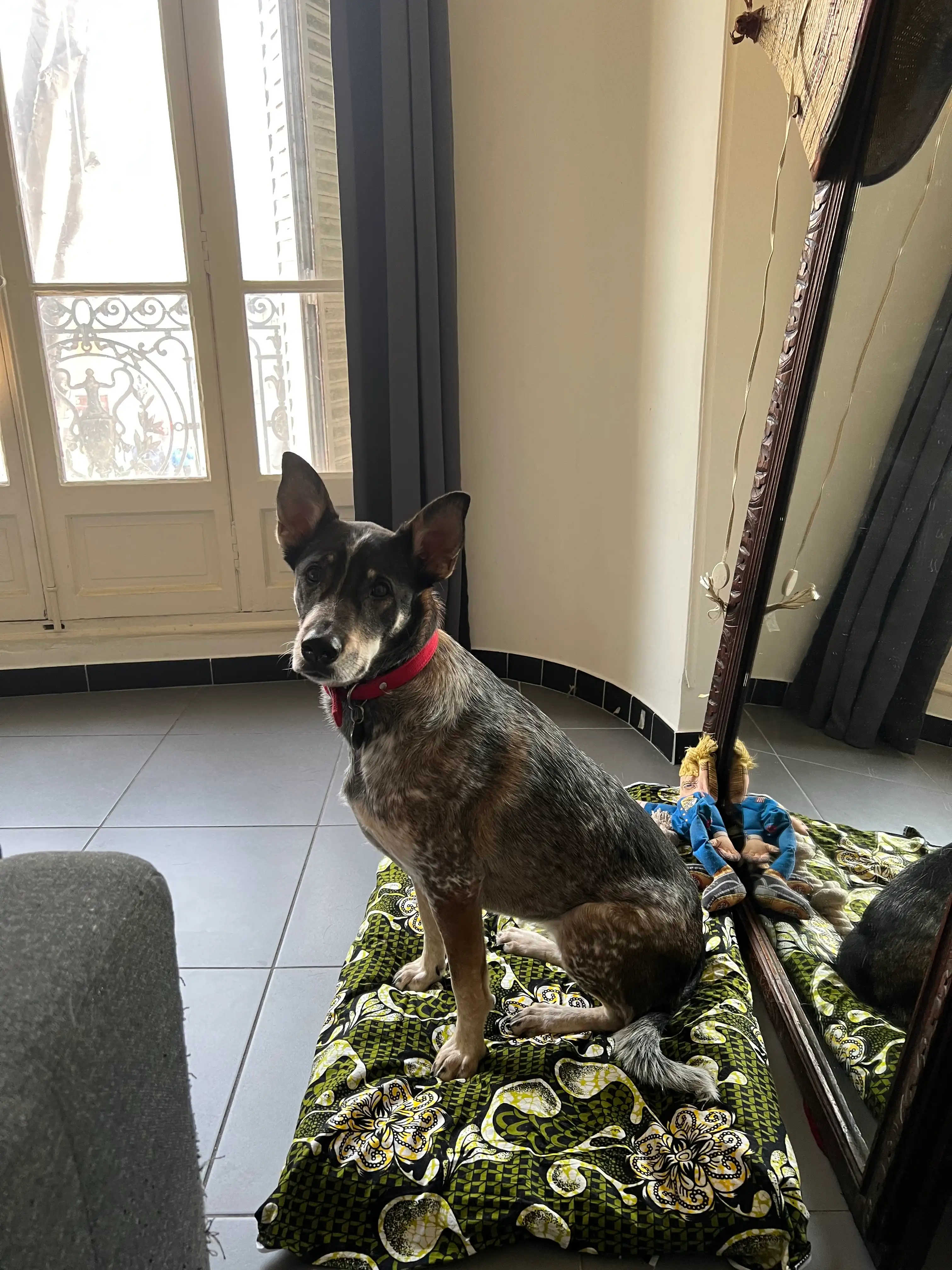 image-24