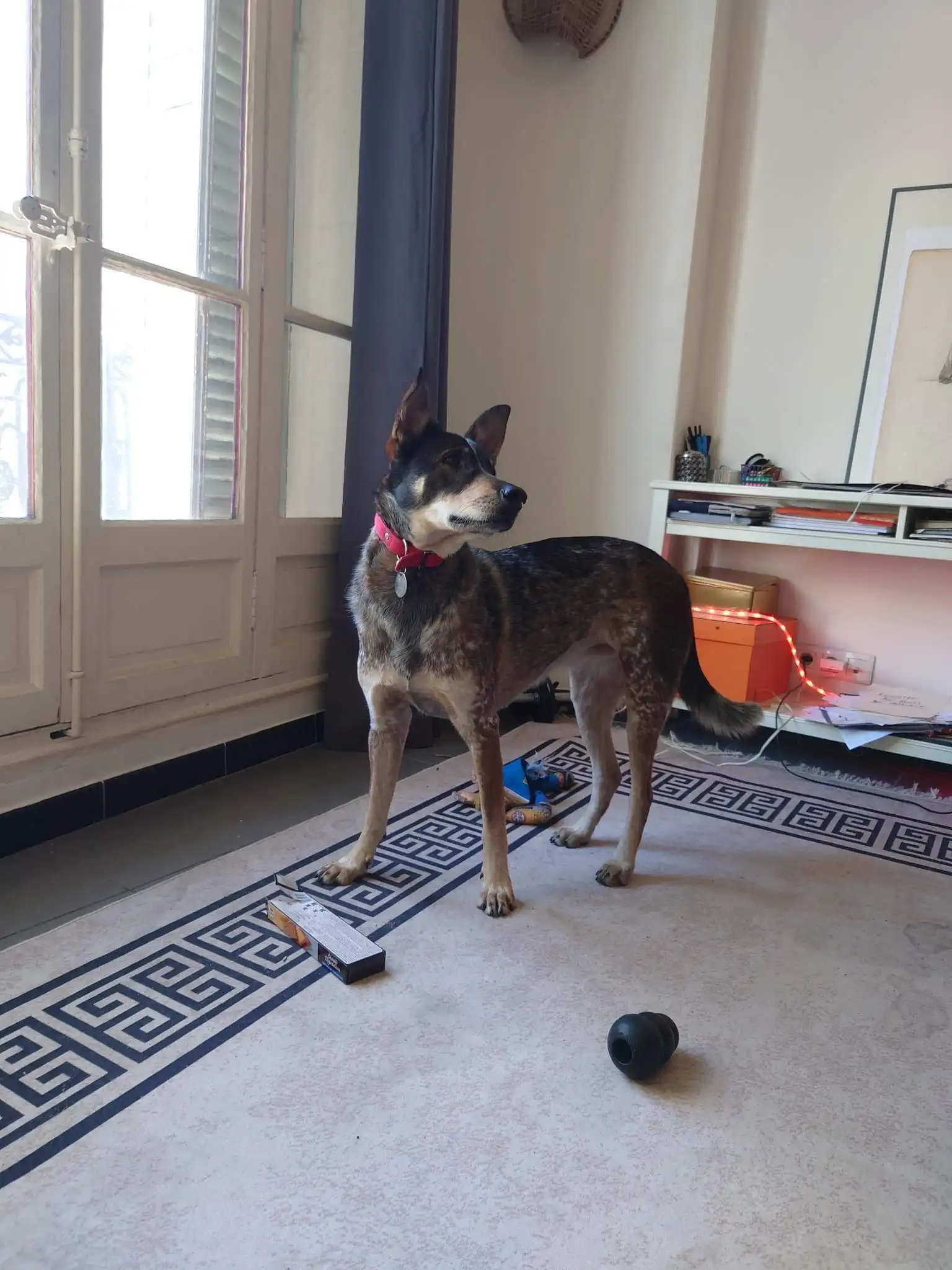image-20