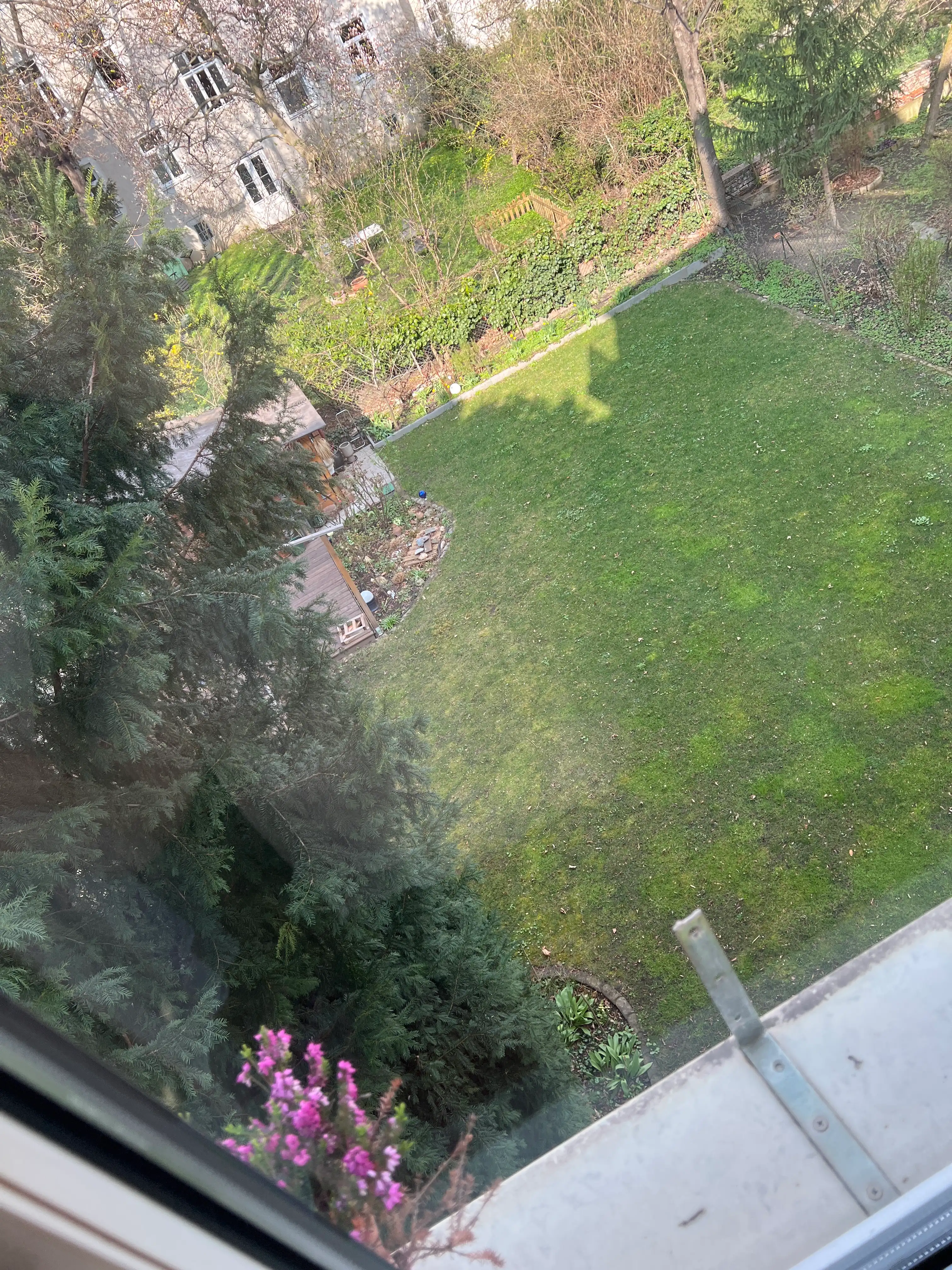 image-14