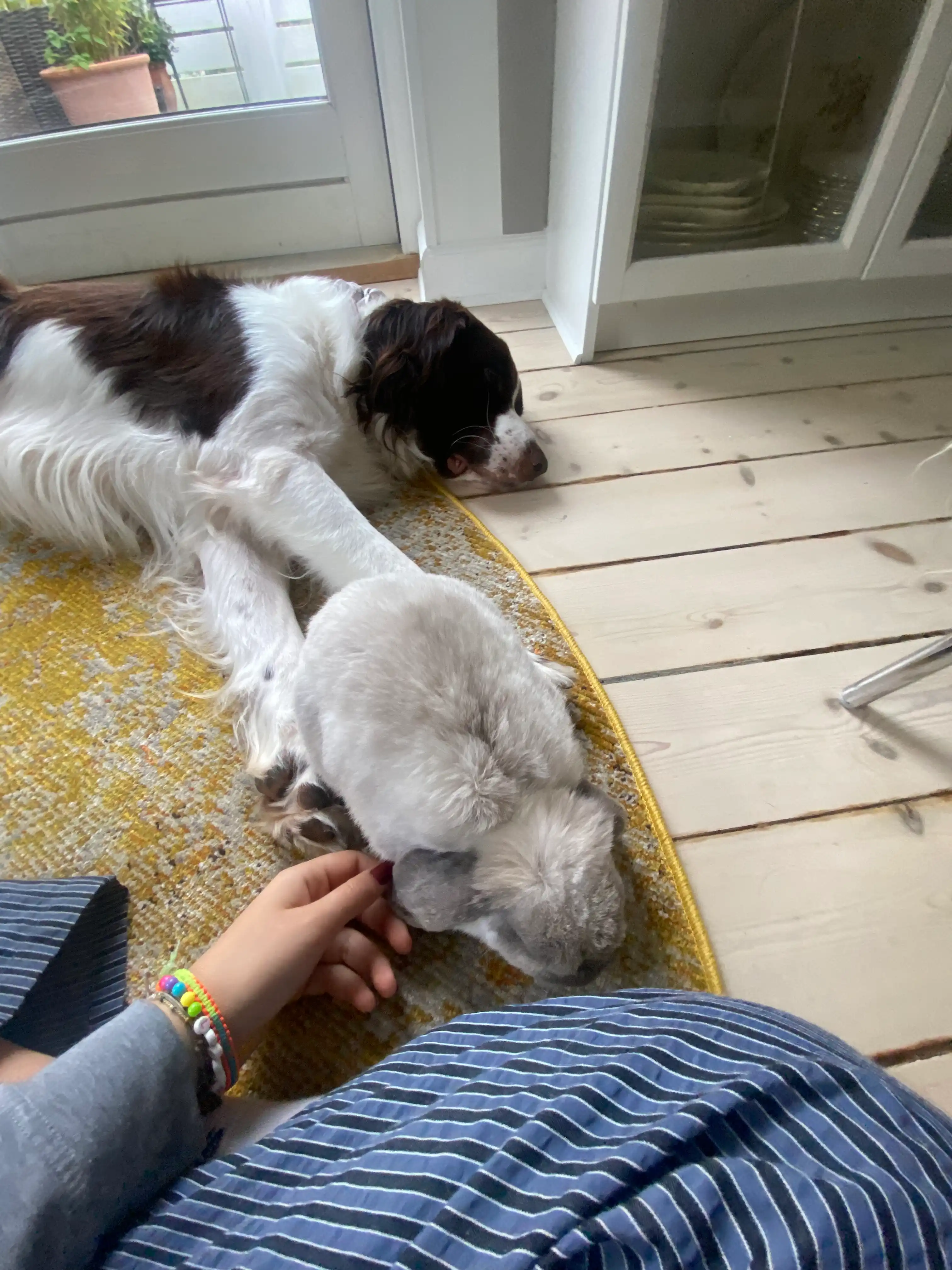 image-5