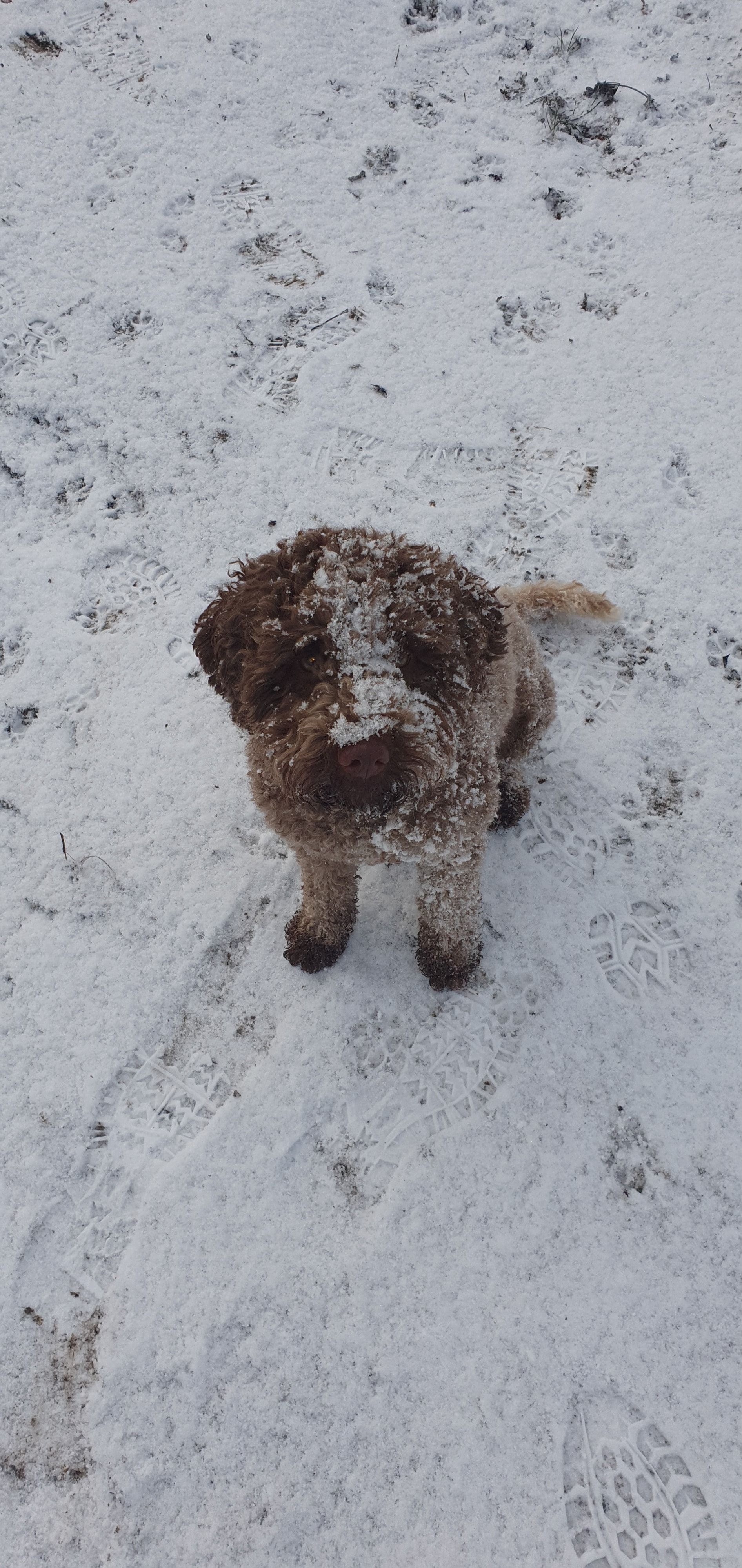image-9