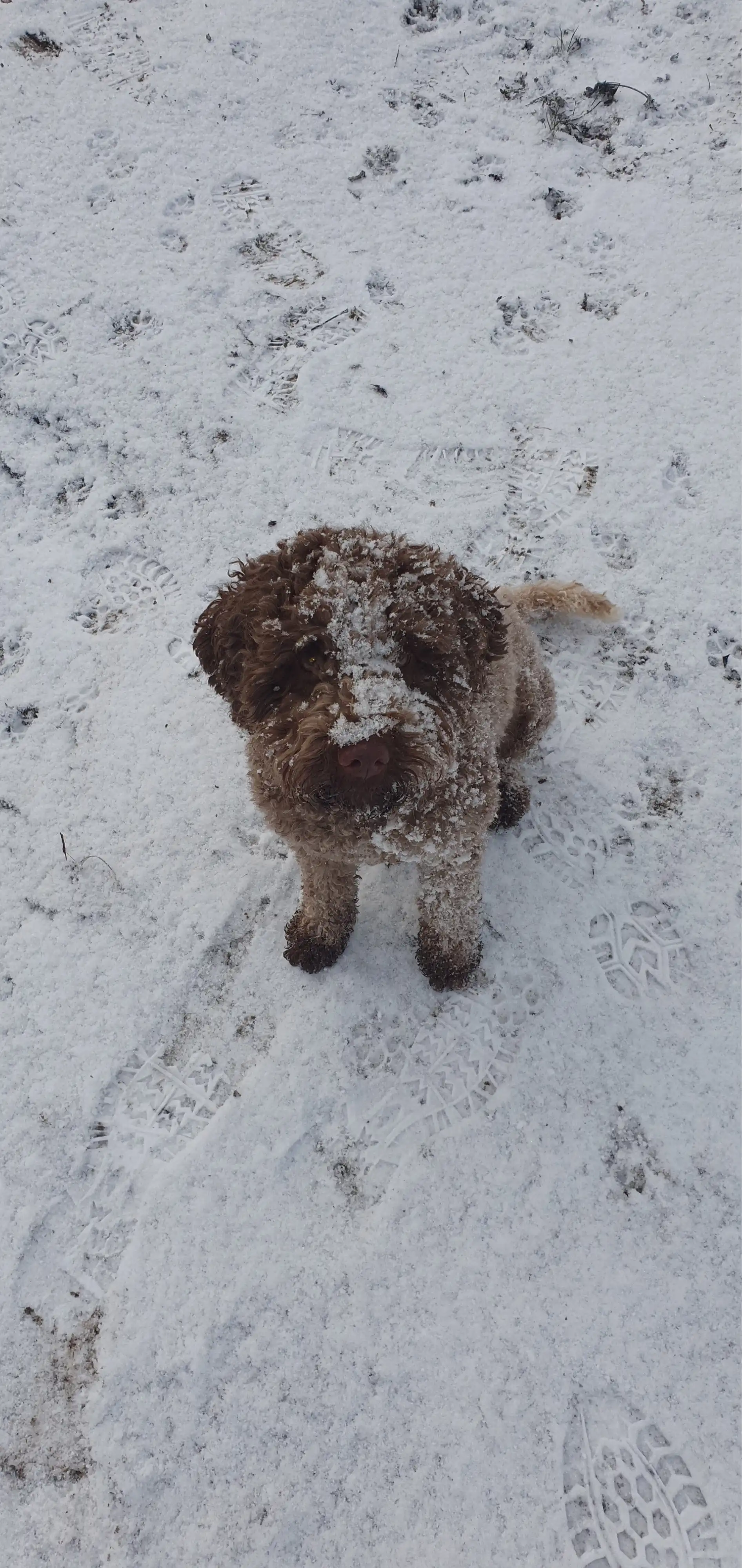 image-9