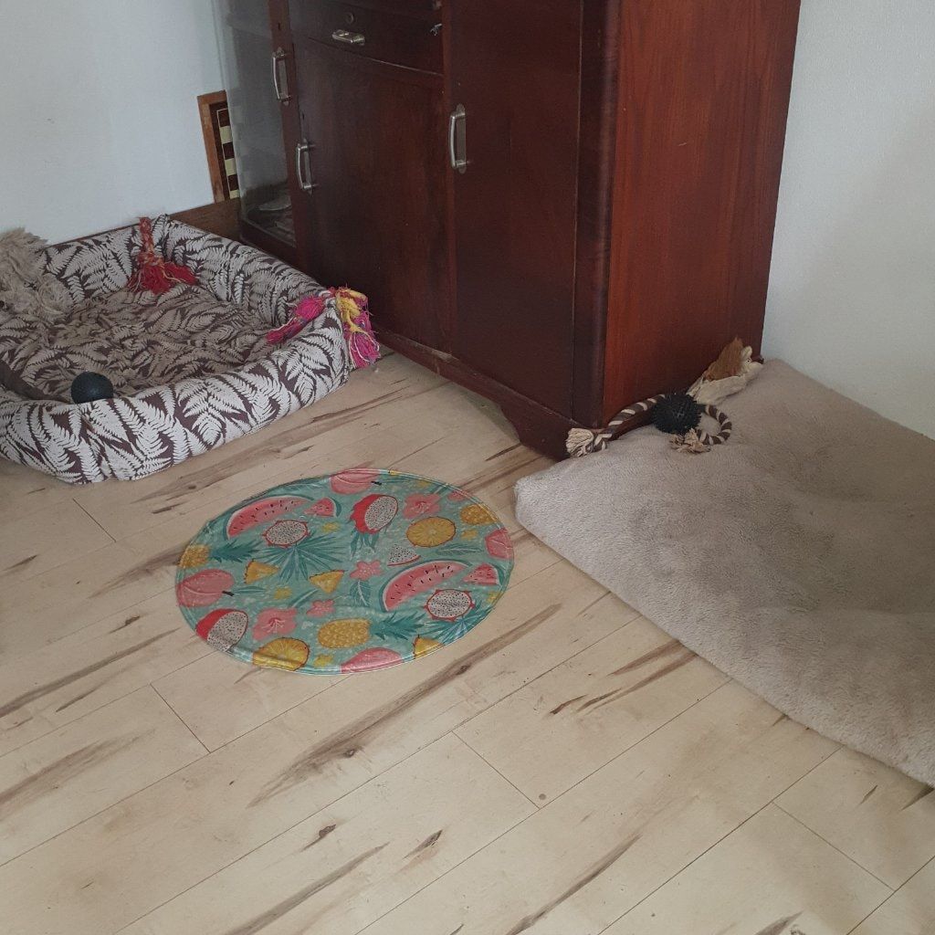 image-14