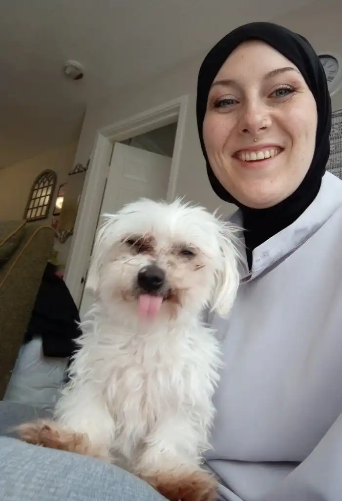 image-8