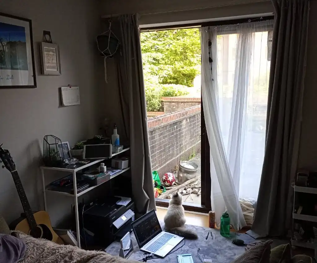 image-5