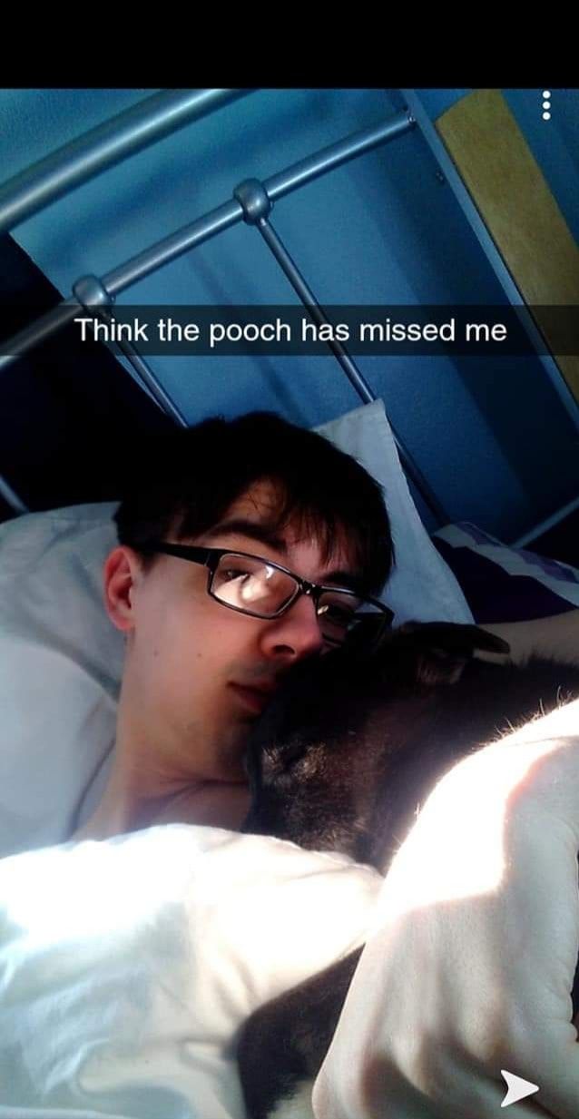 image-6