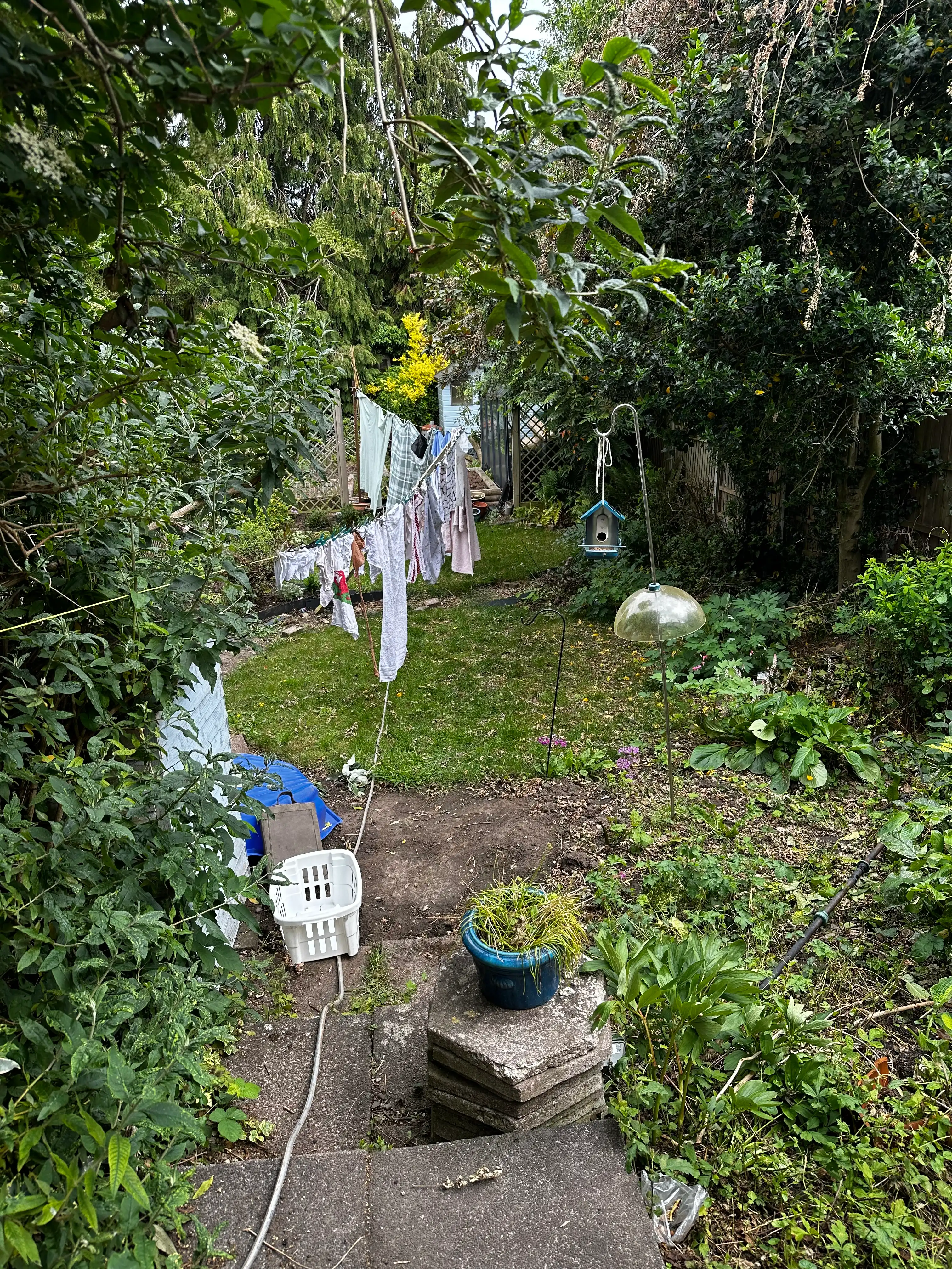 image-20